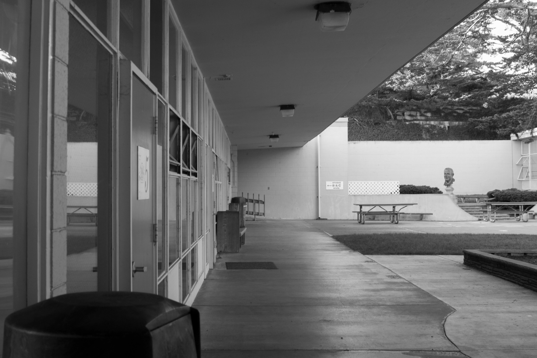 the courtyard
