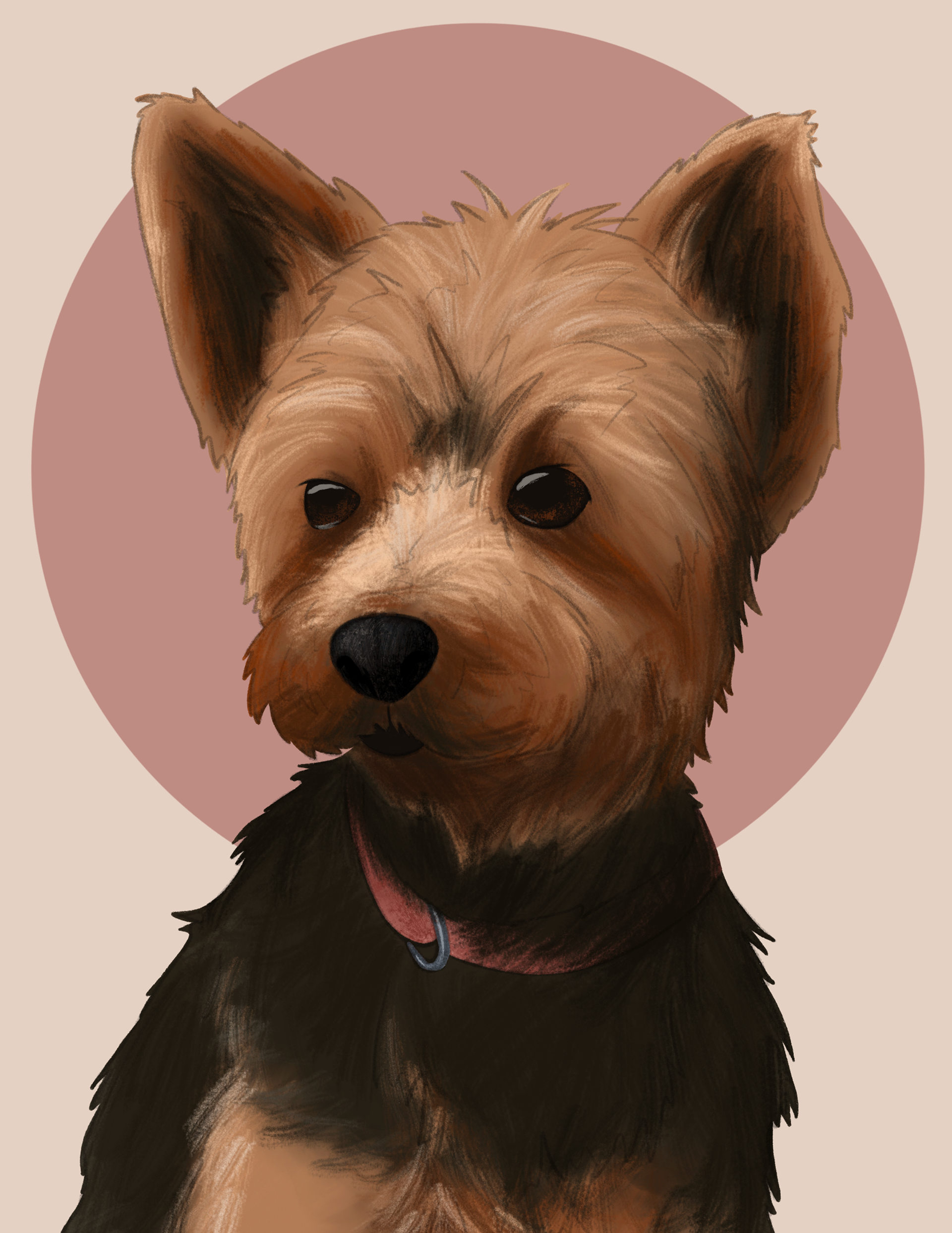 nicole's dog