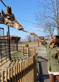 Hang out with wildlife