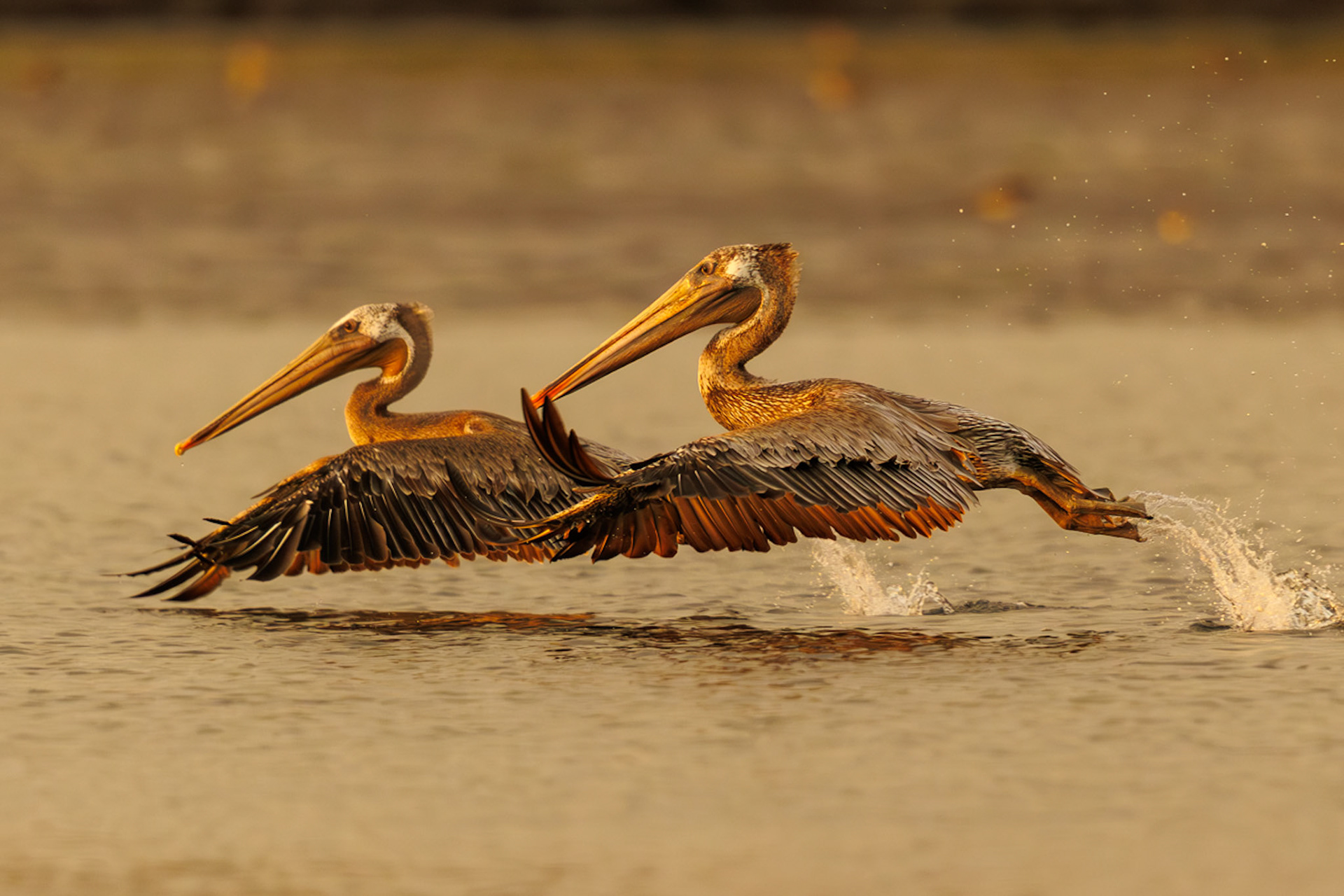 Tandem