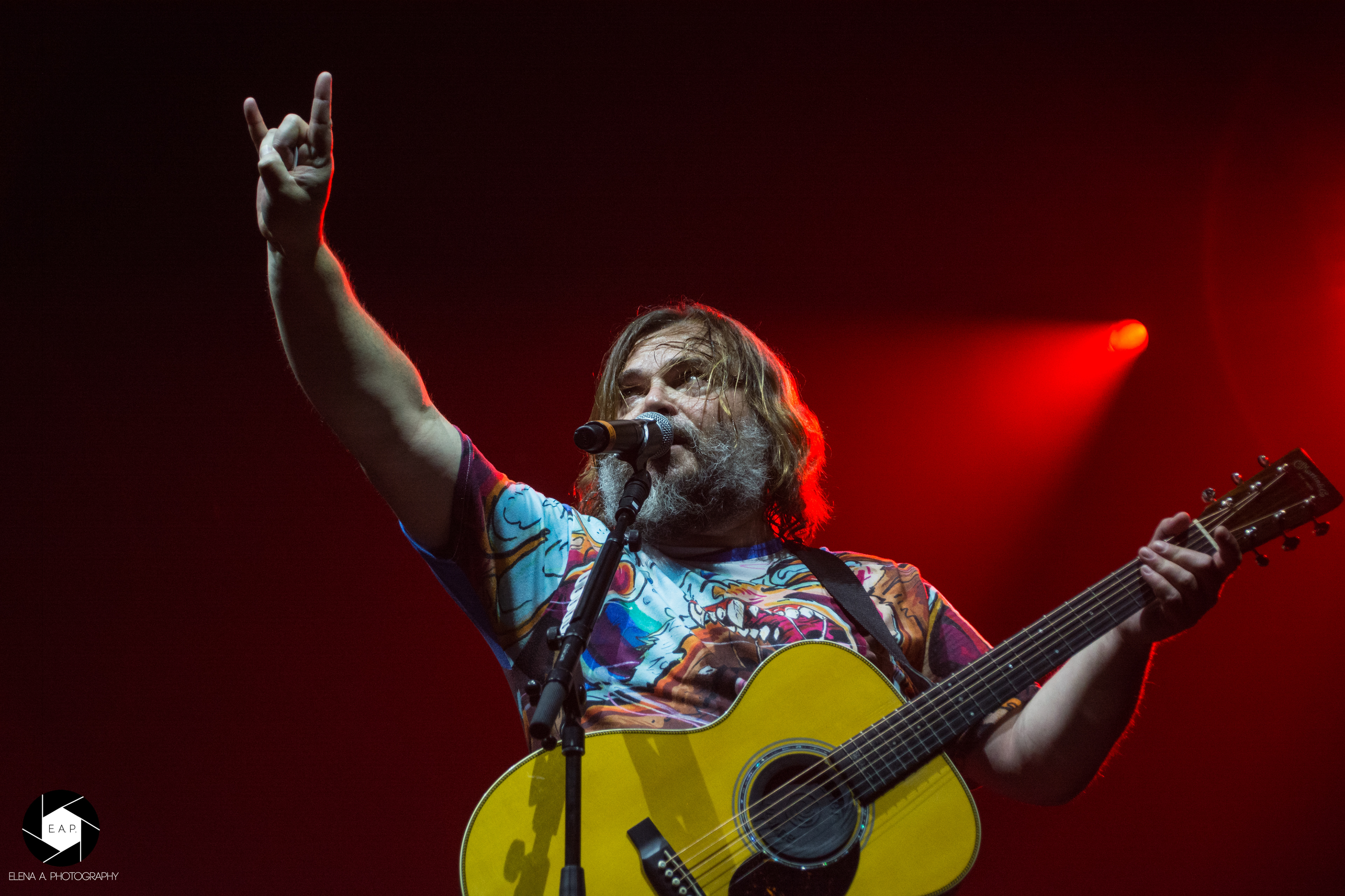Tenacious D