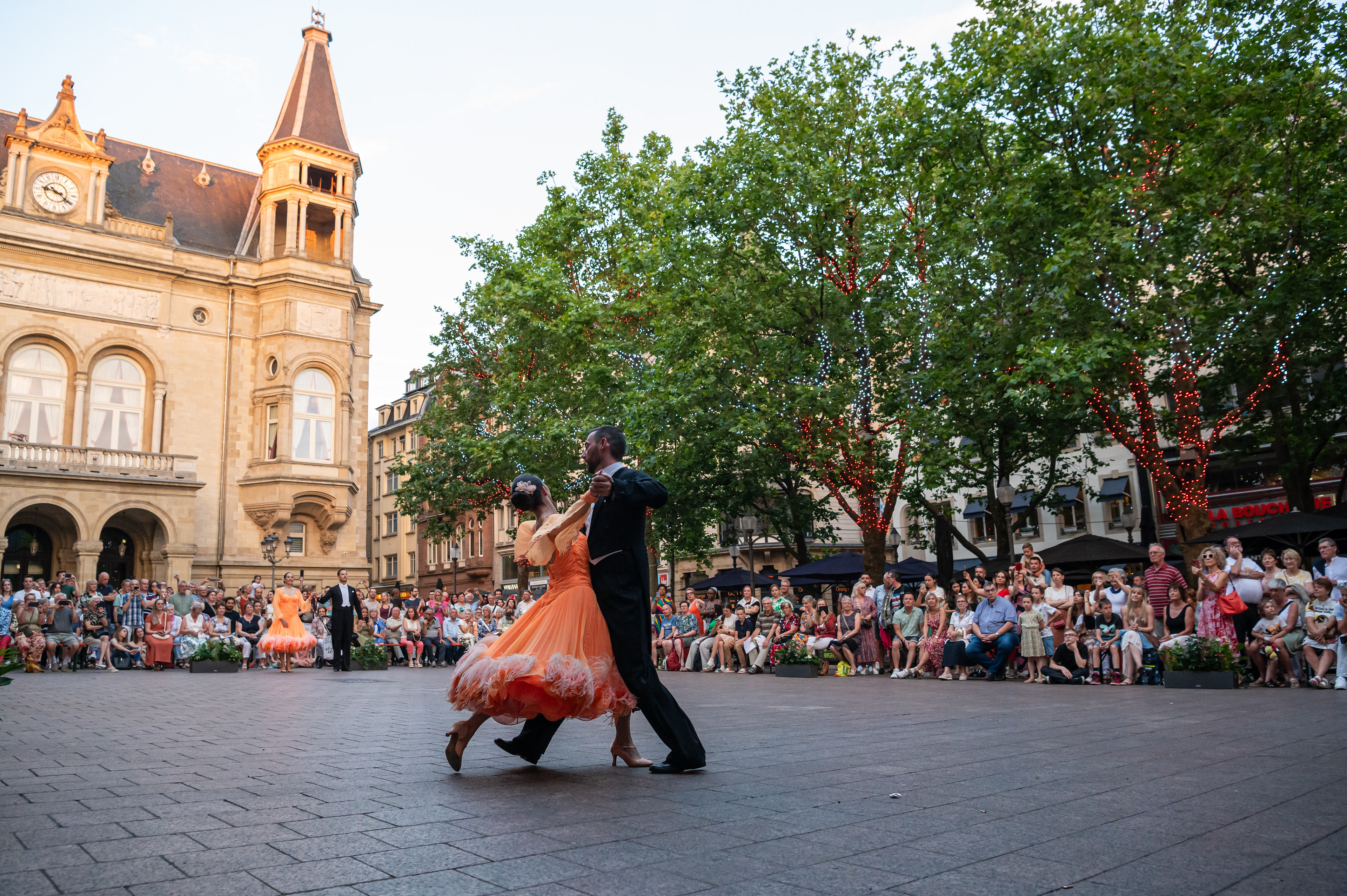 Pless in Concert: Wiener Owend - 19.7.2024