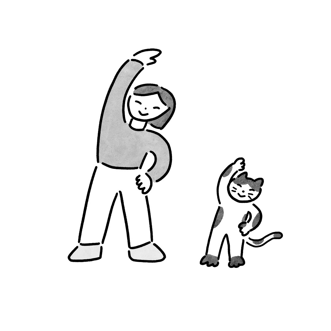 暮らし/健康/体操