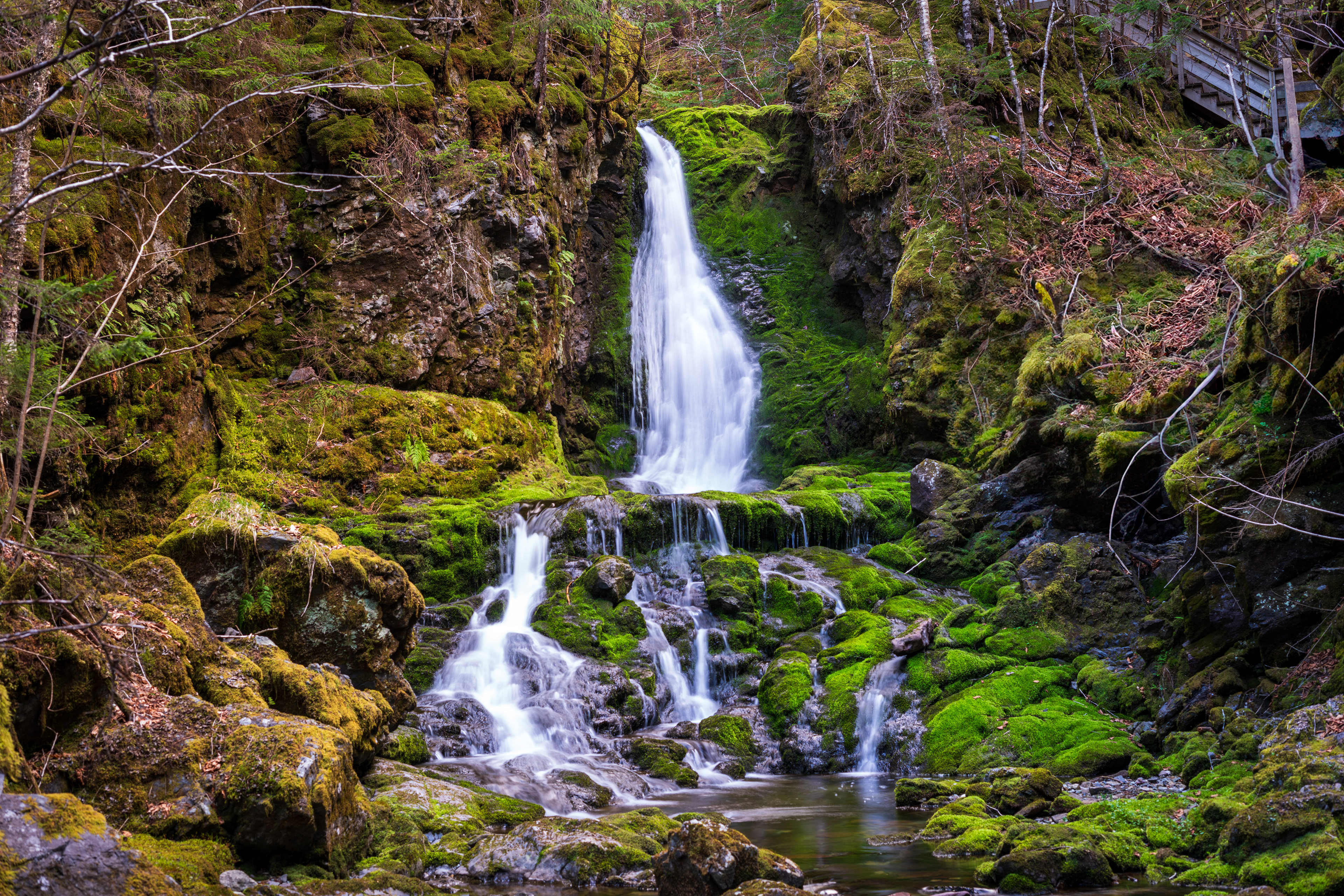 Dixon Falls, Fundy National Park
