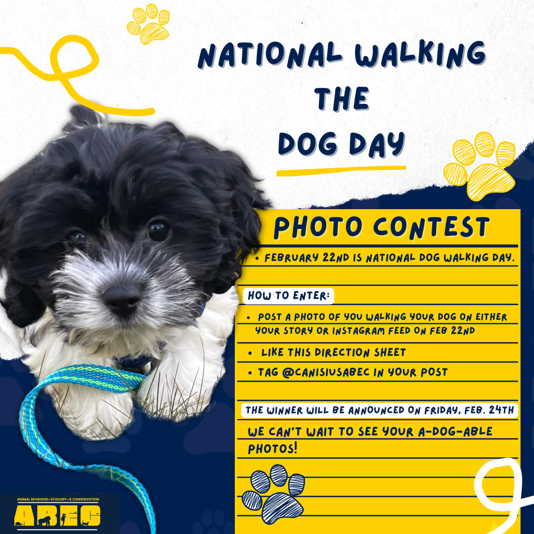 Instagram post for photo contest.