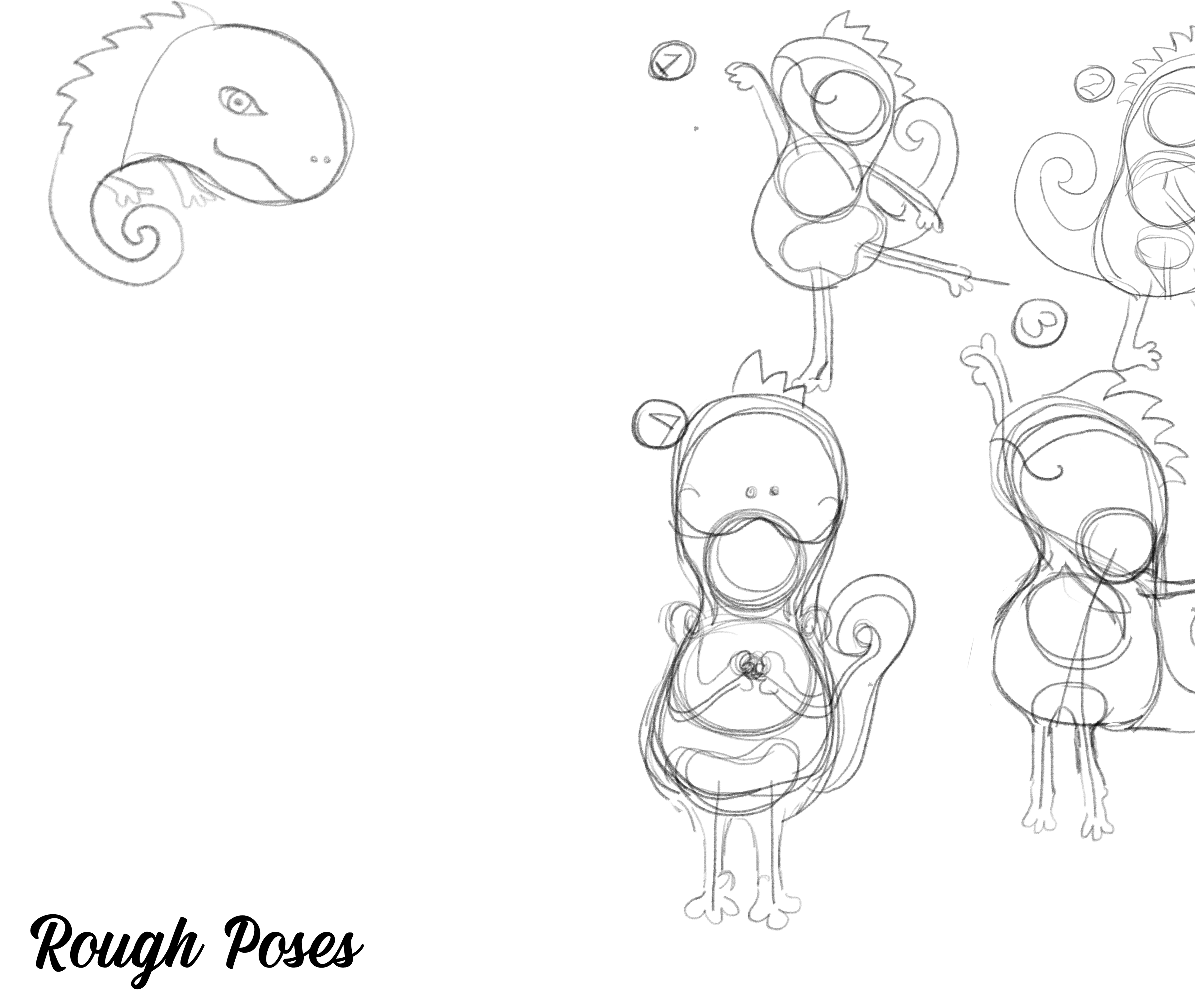 Rough Poses