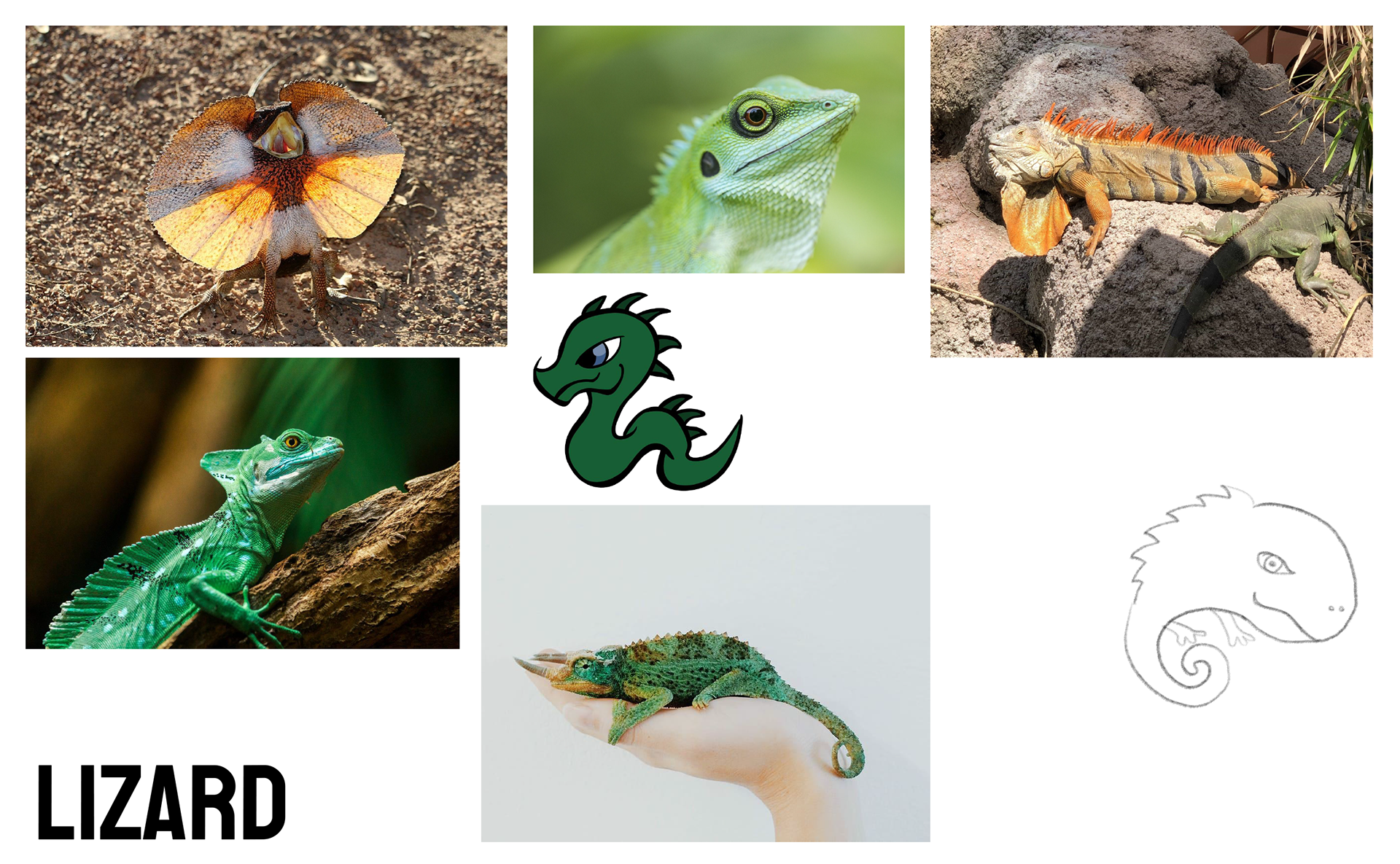 Reference Image