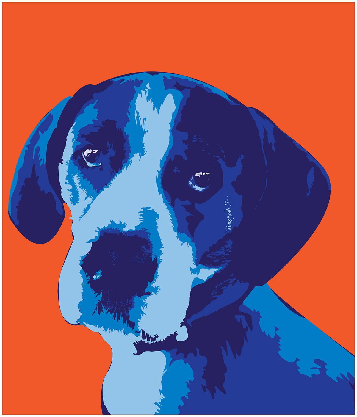 Ava Dog