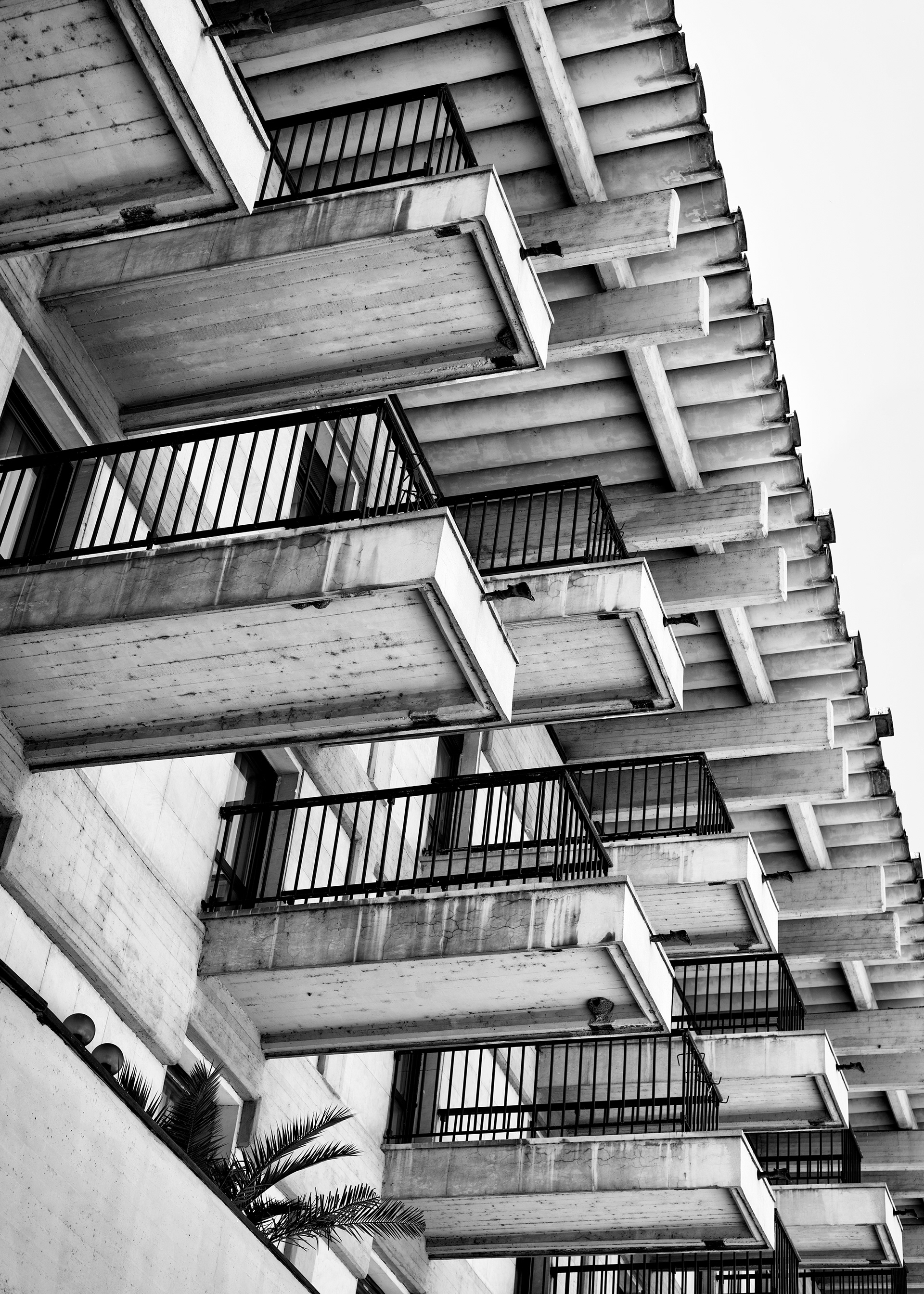 Veliko Tarnovo
