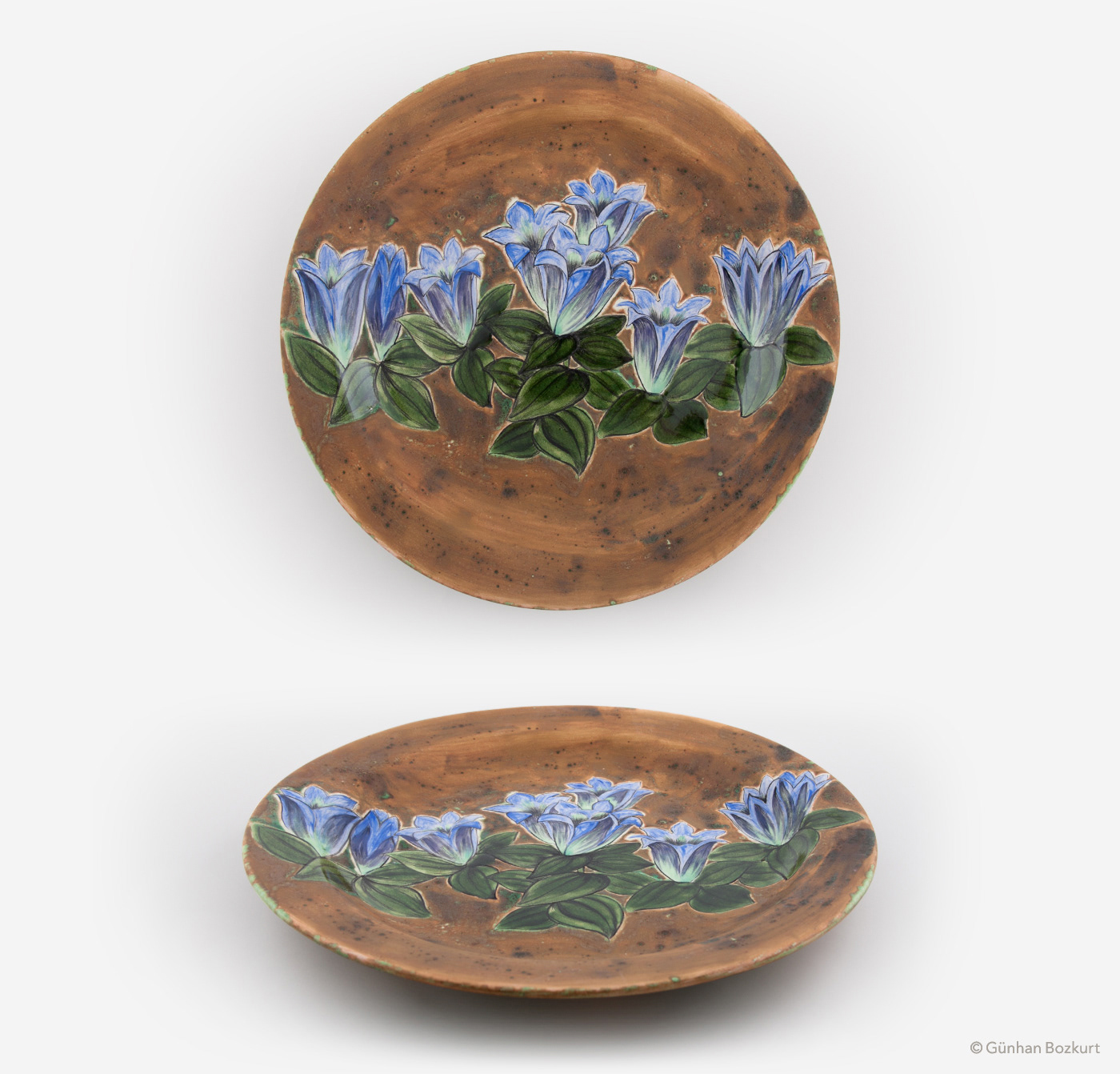 Gentiana Seabra (Gentianaceae) 1 / Plate, Ø 40 cm