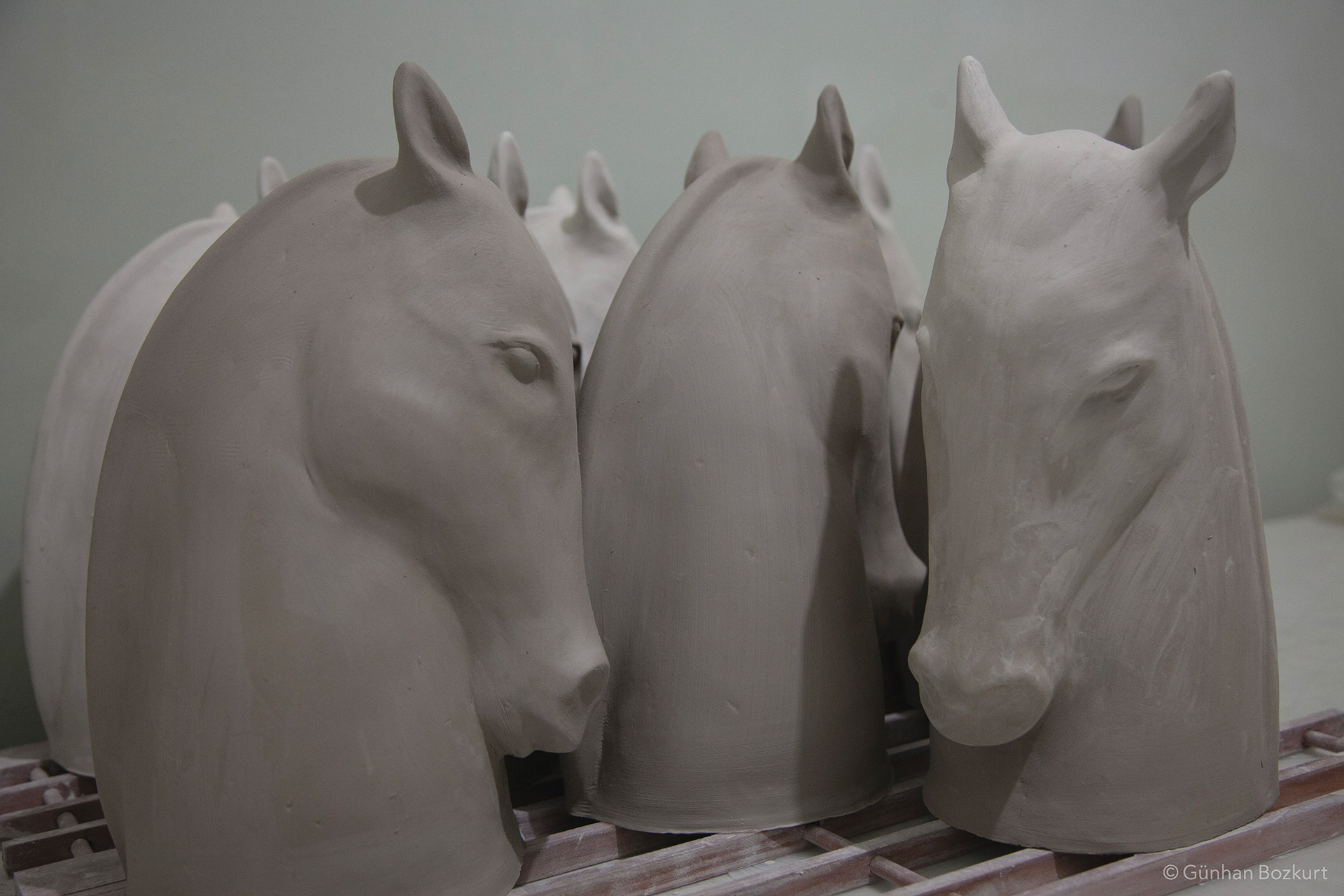 Horses in process