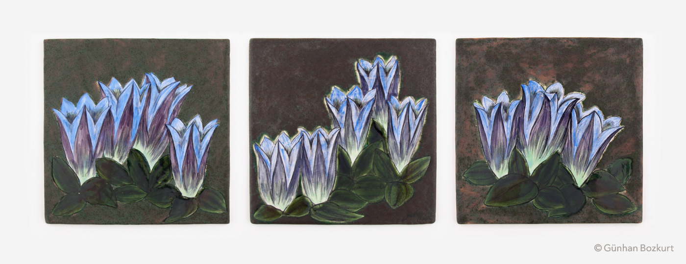 Gentiana Seabra (Gentianaceae) / a set of ceramic tiles, each 20 × 20 cm