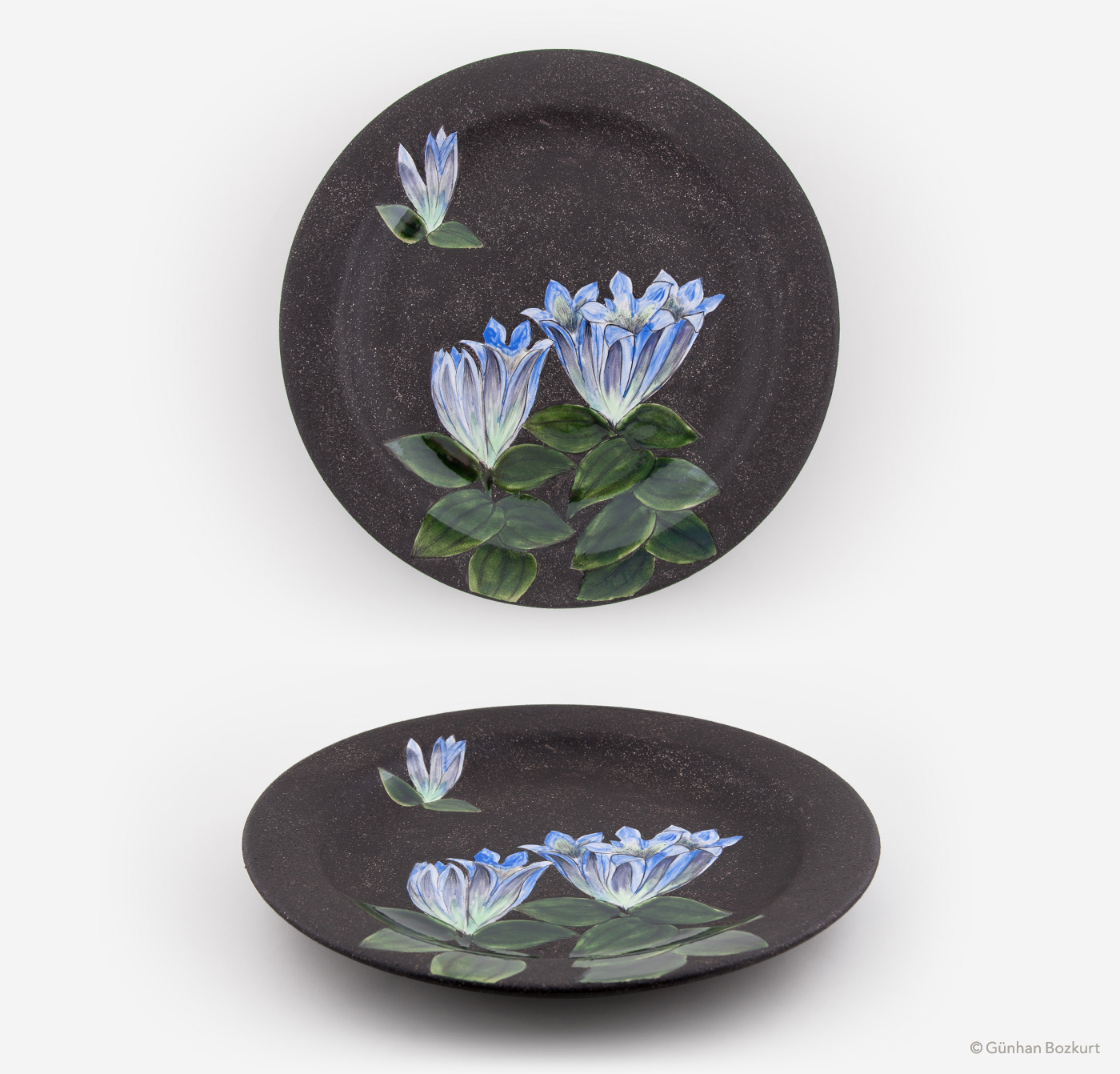 Gentiana Seabra (Gentianaceae) 2 / Plate, Ø 40 cm