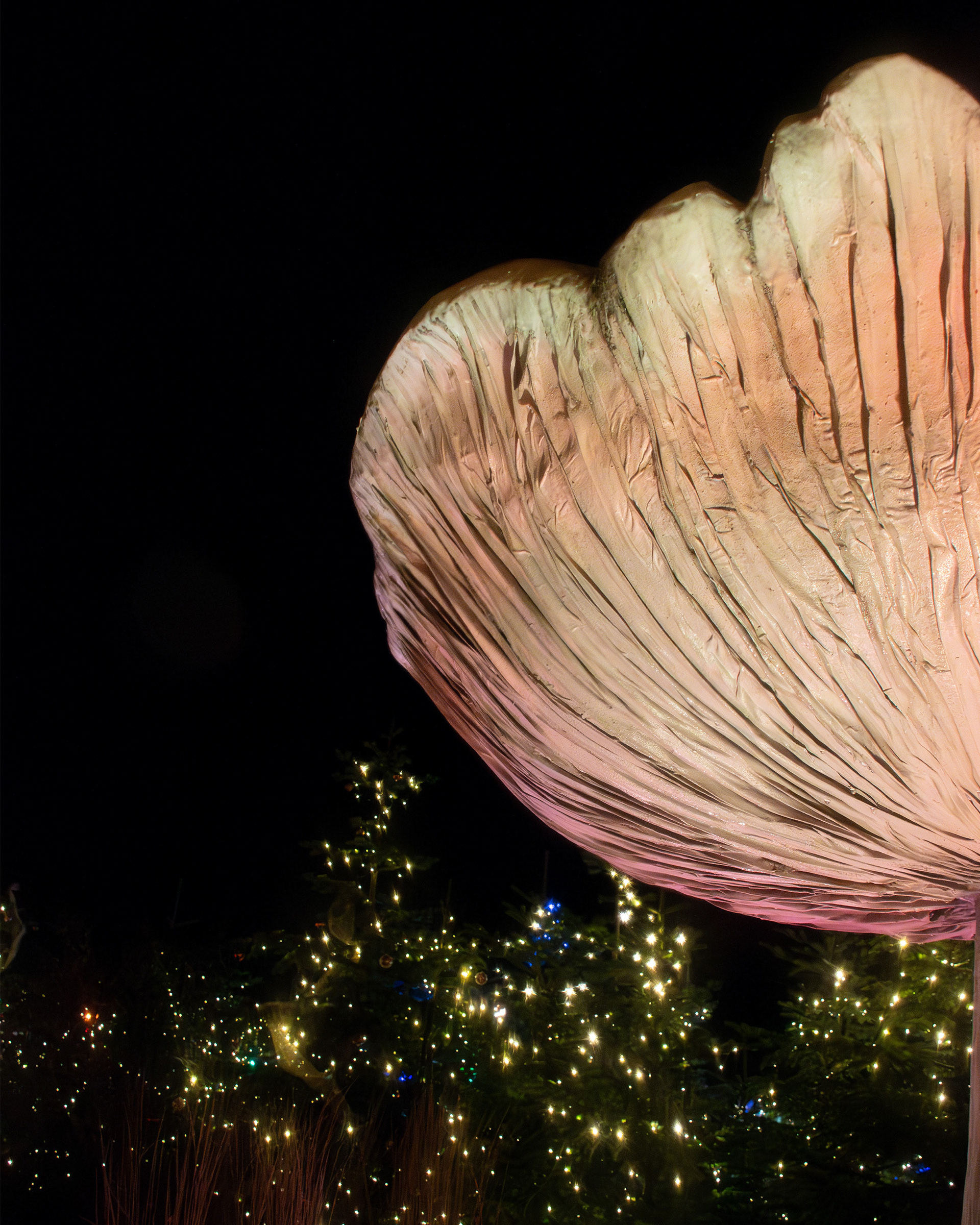 Alnwick Winter Lights 2025