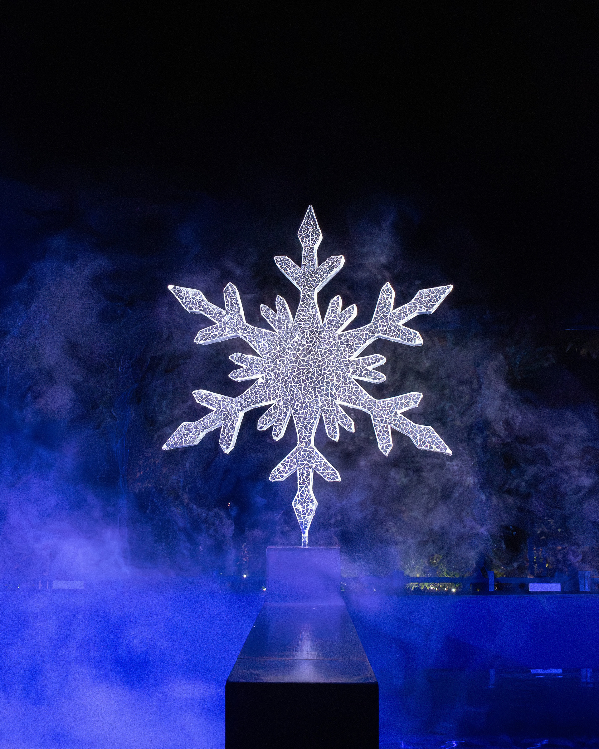 Alnwick Winter Lights 2025