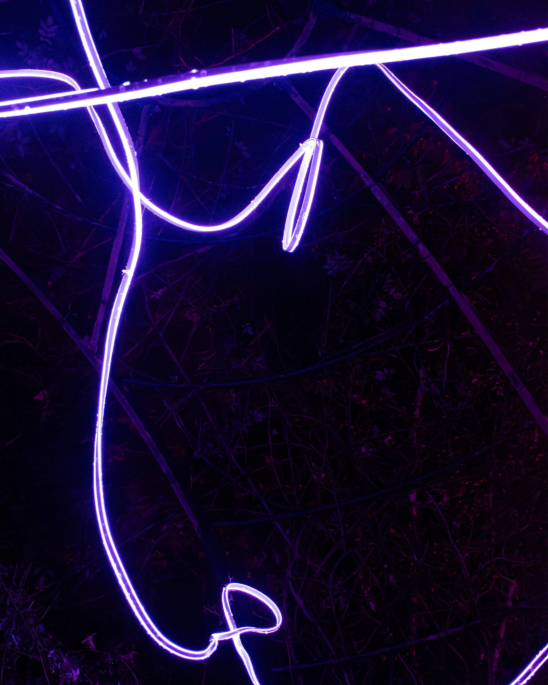 Alnwick Winter Lights 2025