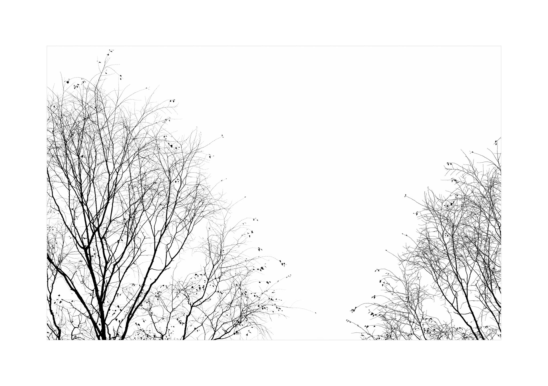 A2Dfinal