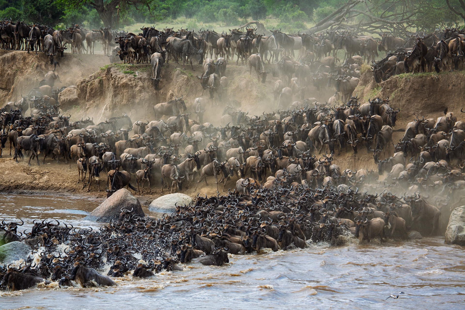 Africa