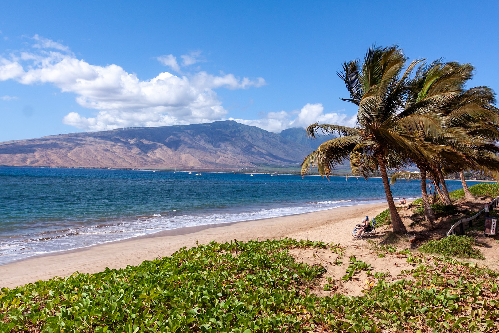 Maui