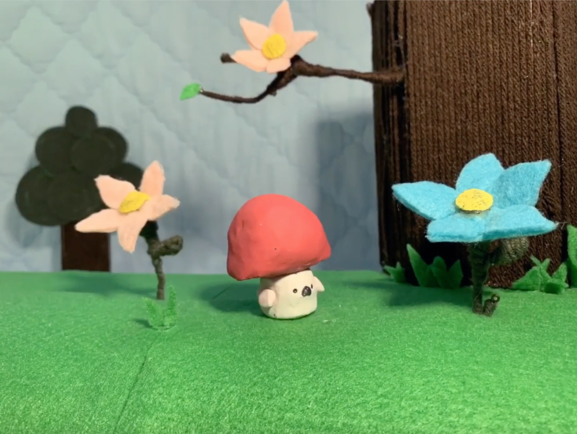 Late Bloomer