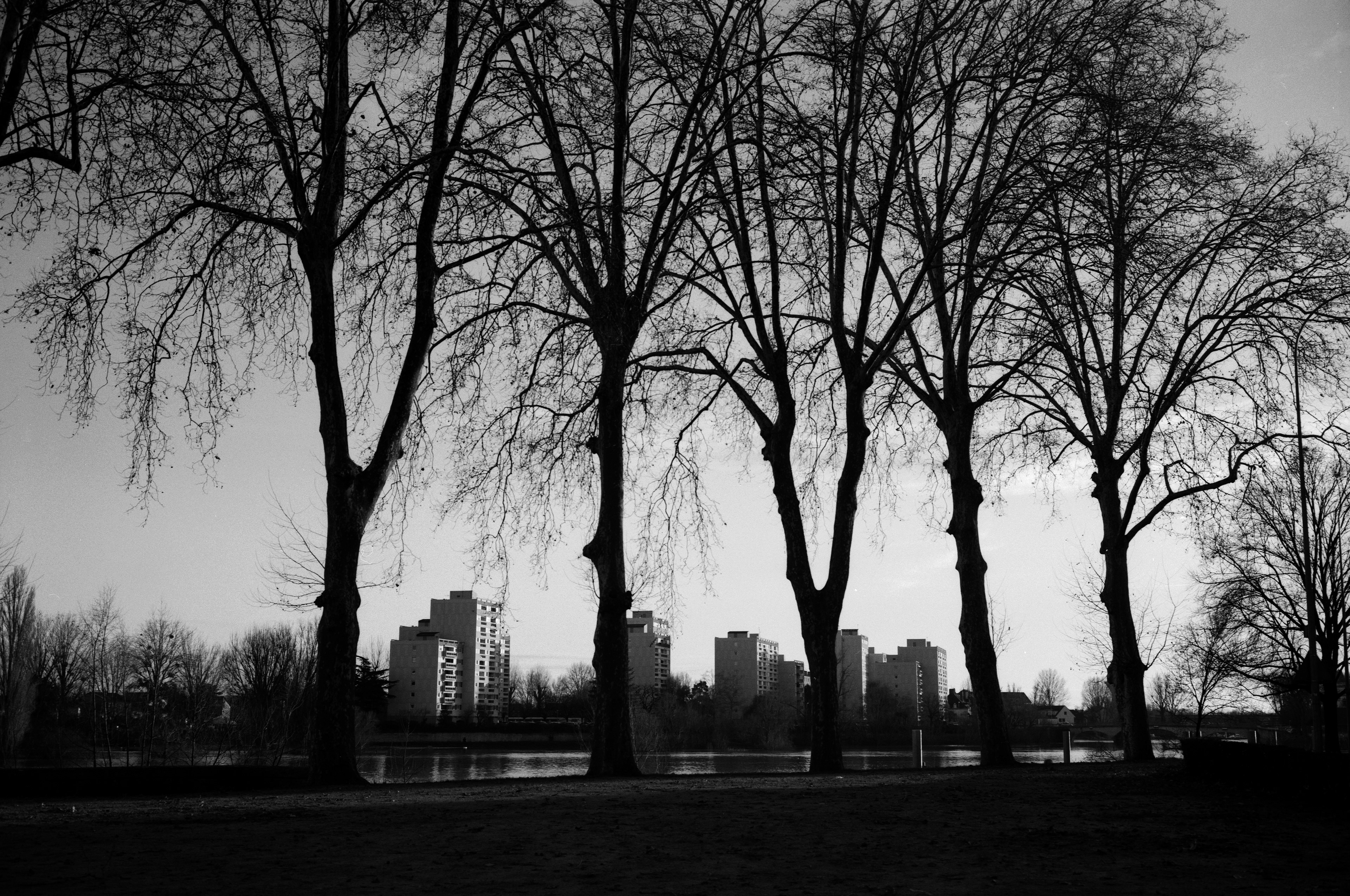 Fujifilm gw690/Ilford delta 400