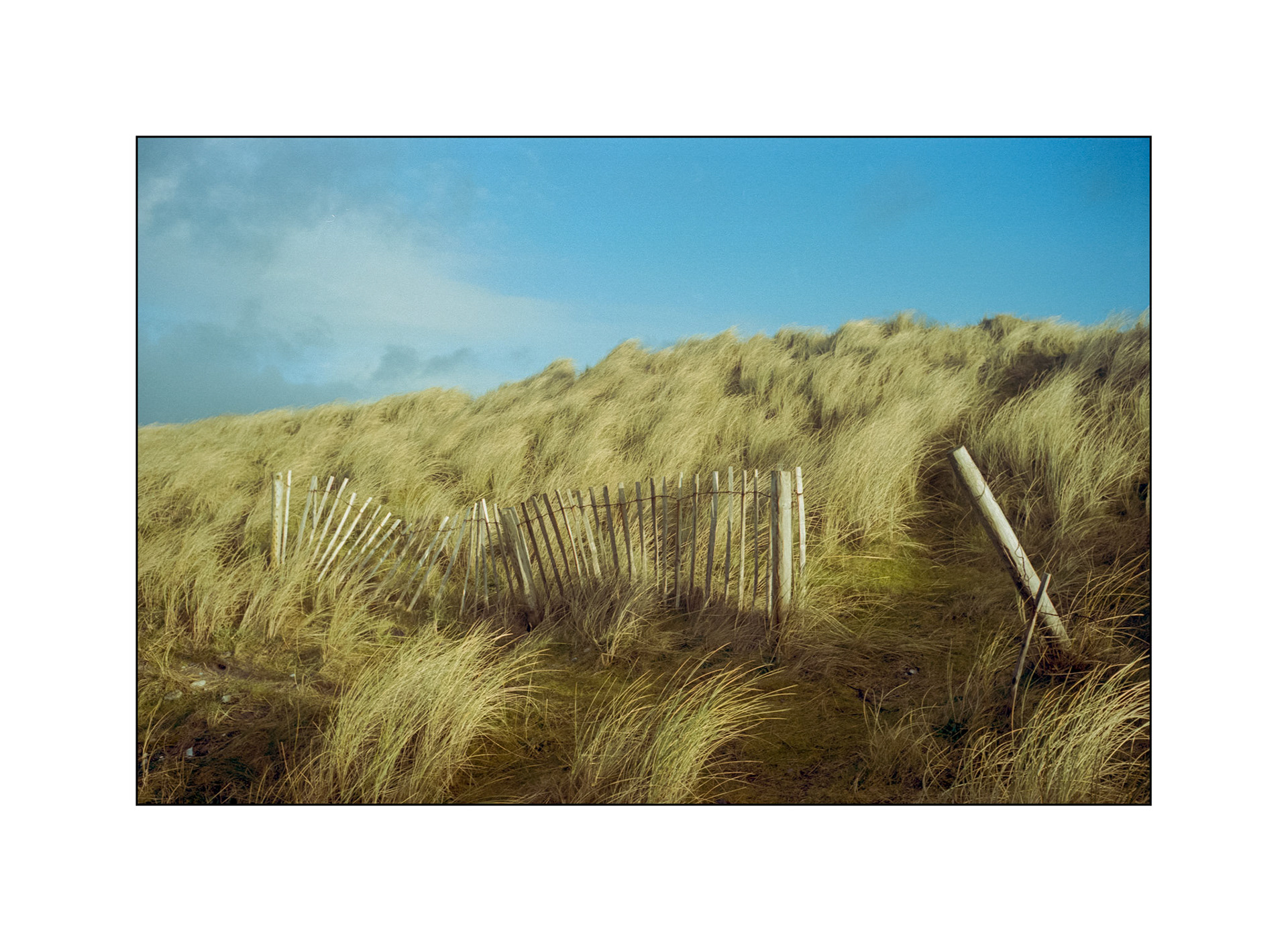 Rosses Point Beach