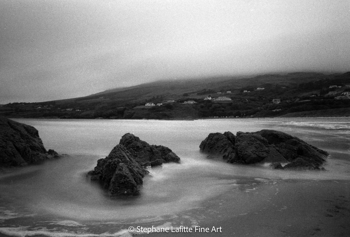 nikonf601/bergger Pancro 400