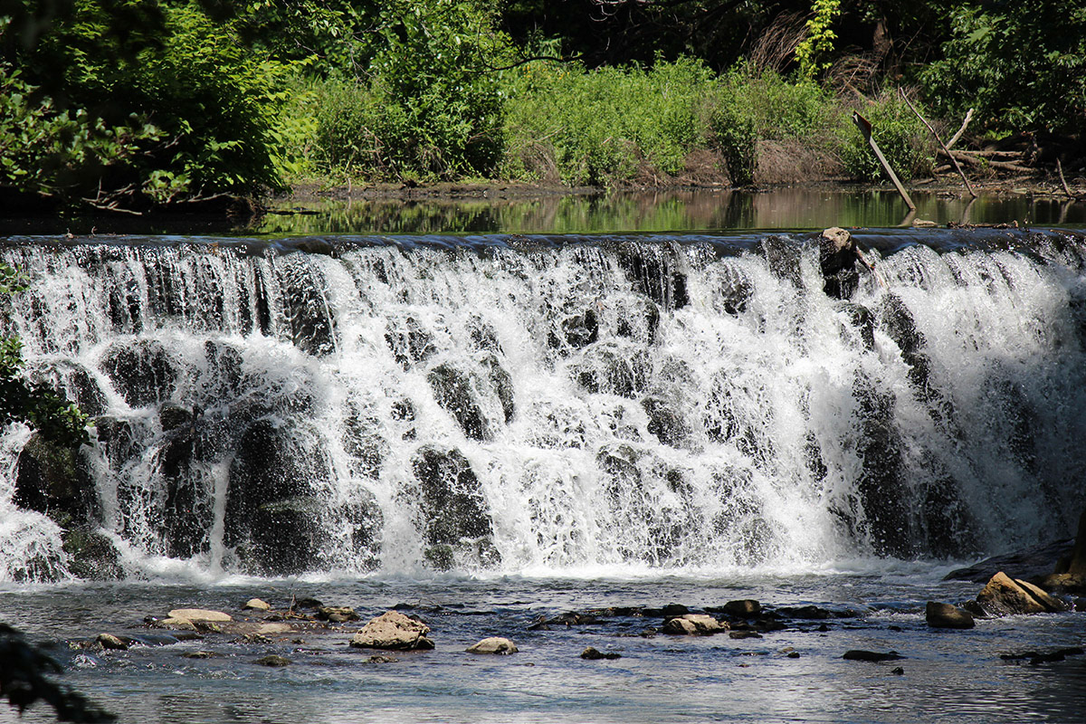 Bronx River Waterfall