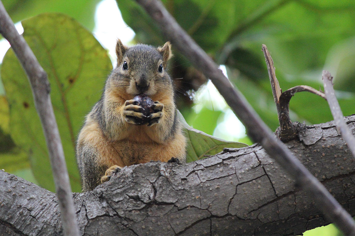 What Are You Looking At?