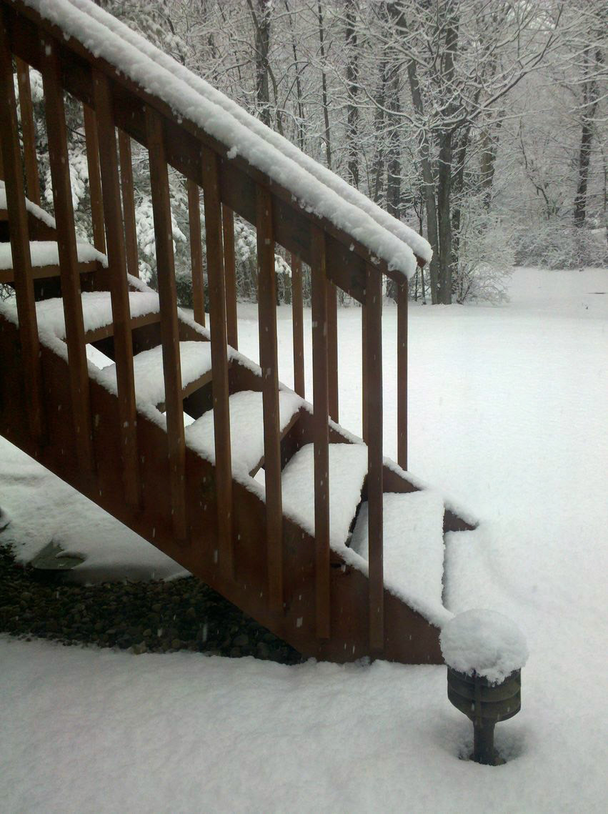 Snow Buddies