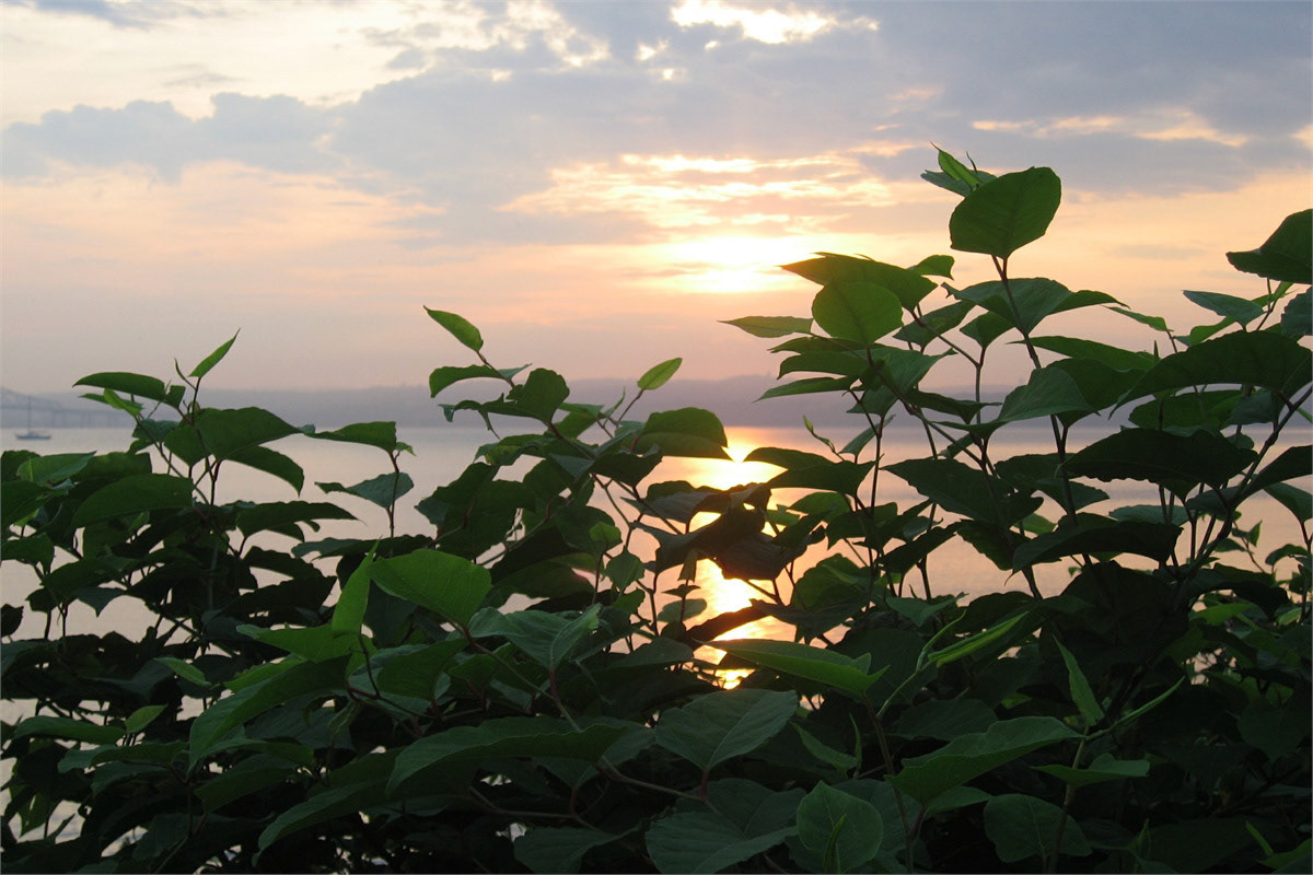 Sunrise on Hudson 2