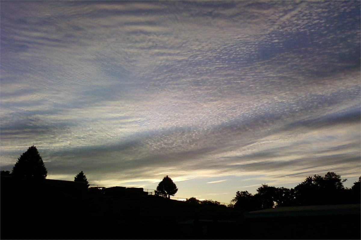 Whipped Clouds