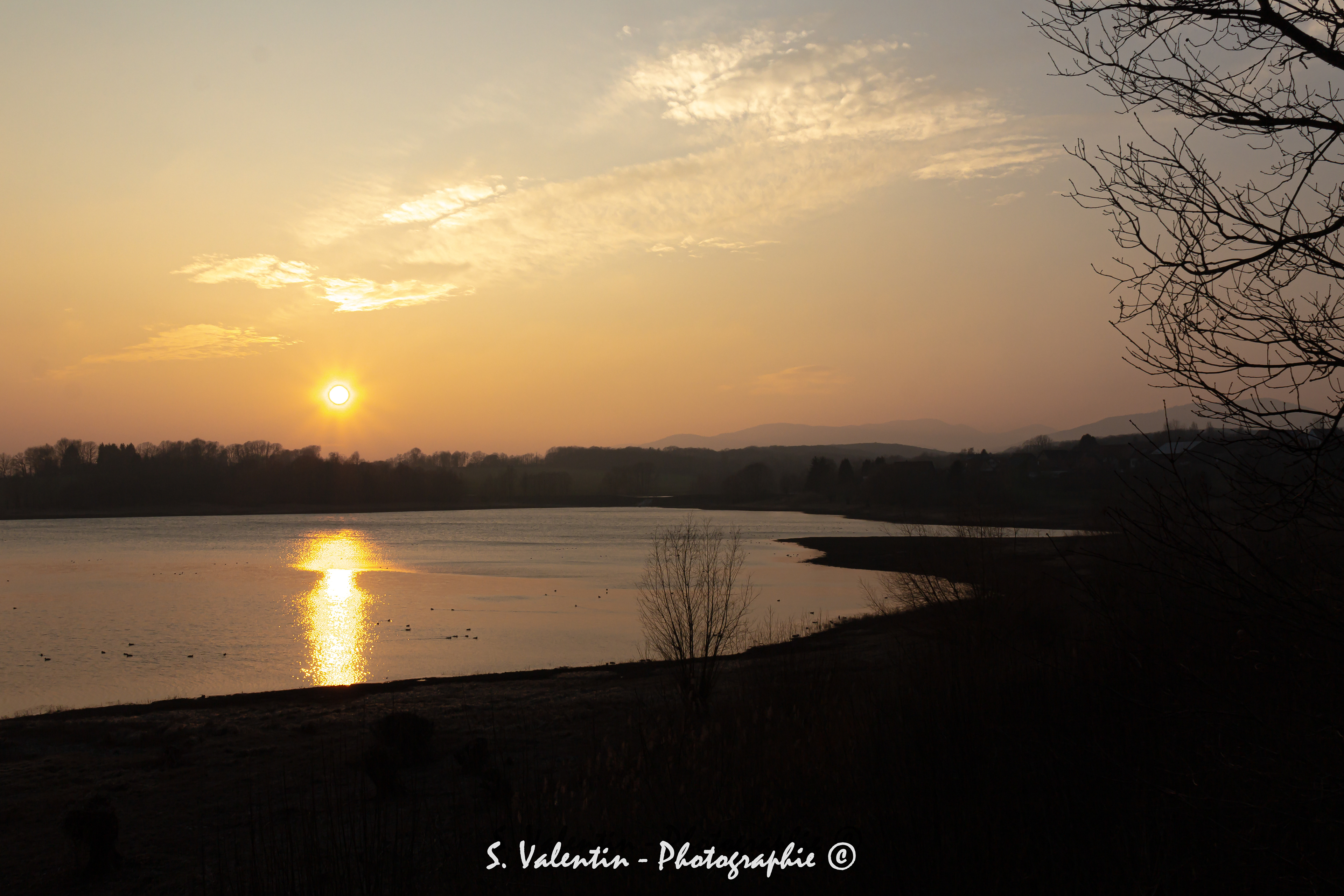 Réserve naturelle de Michelbach