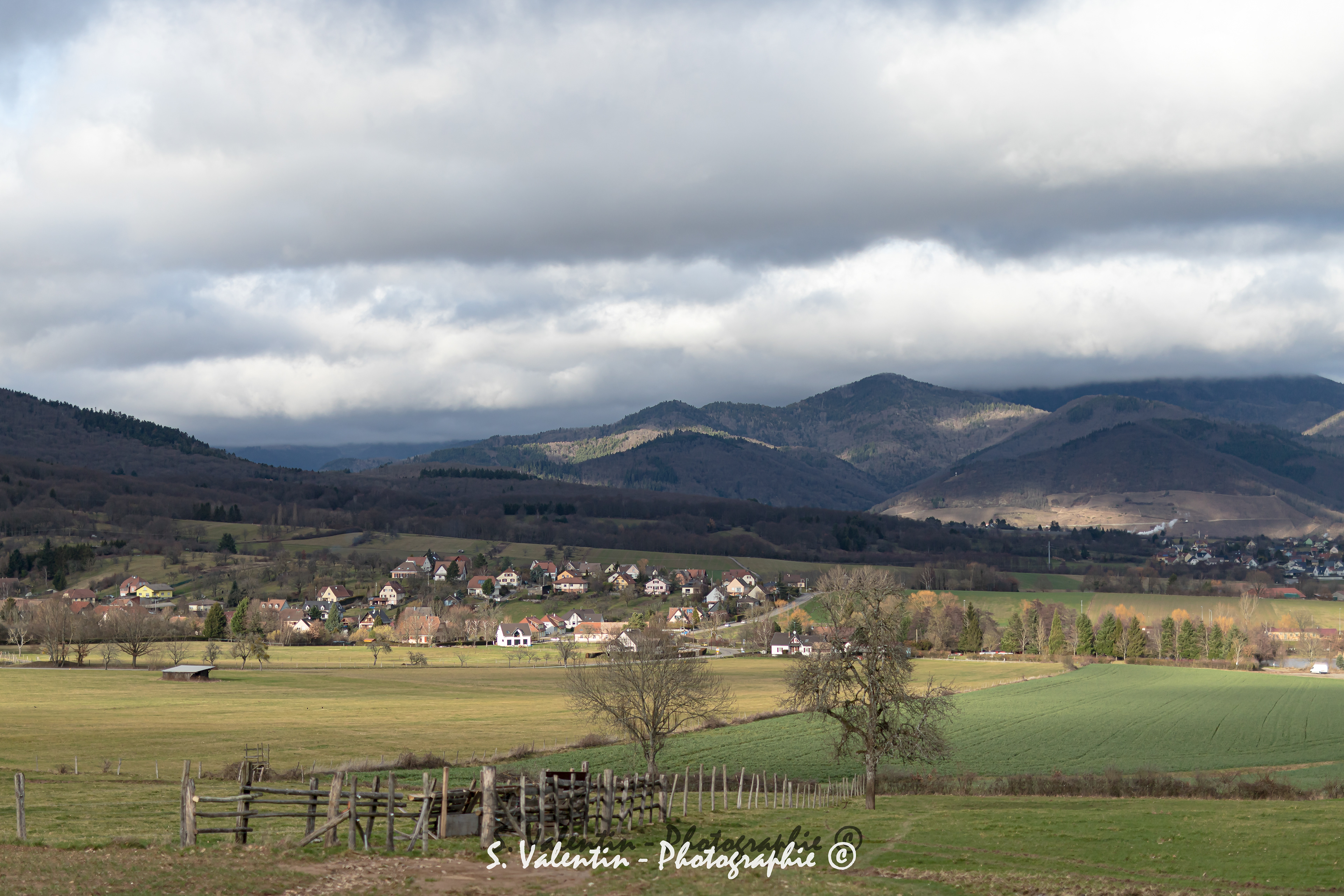 Vallée de Thann