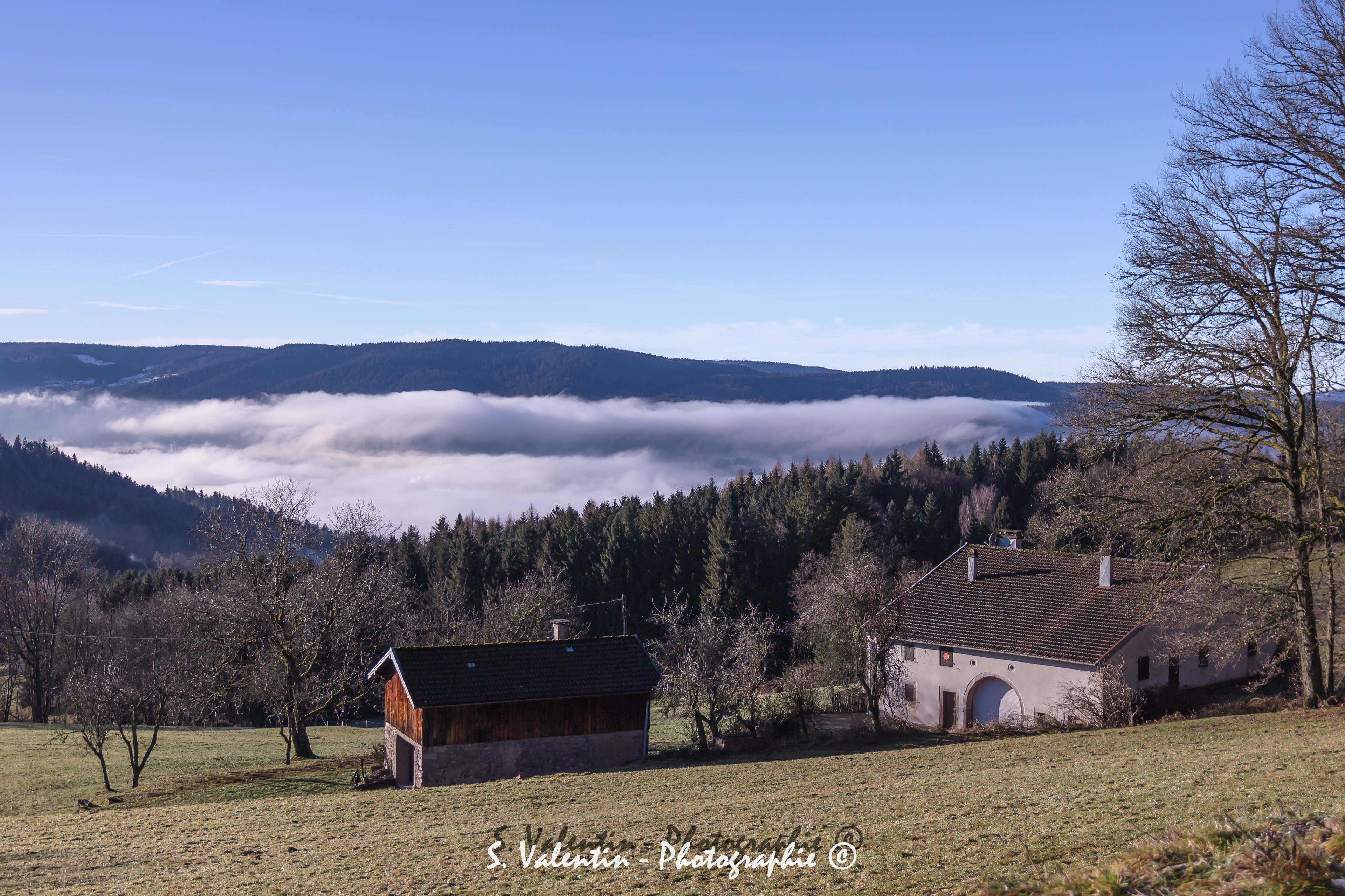 Haut du tôt - Les Vosges