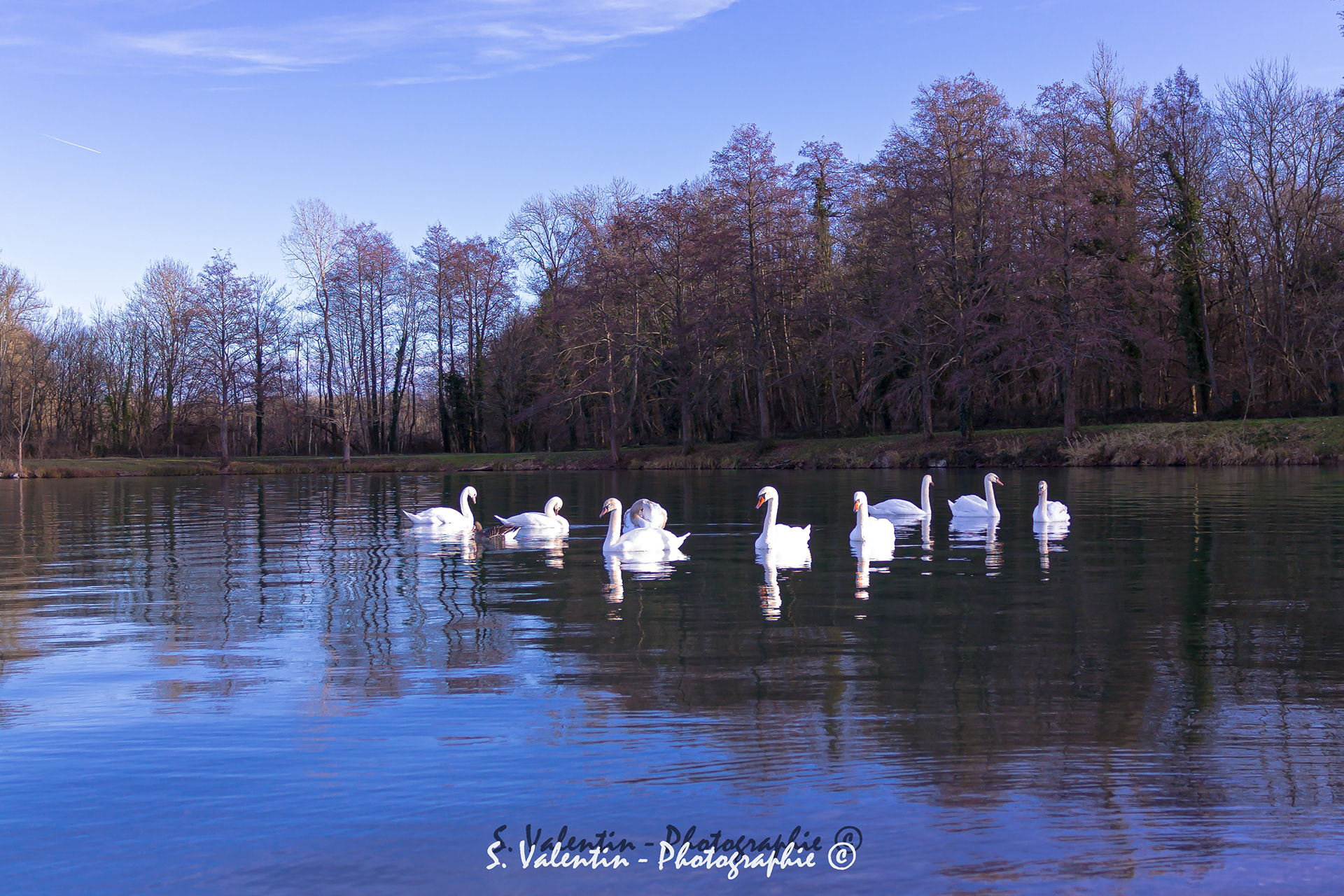 Plan d'eau de Burnhaupt-le-bas