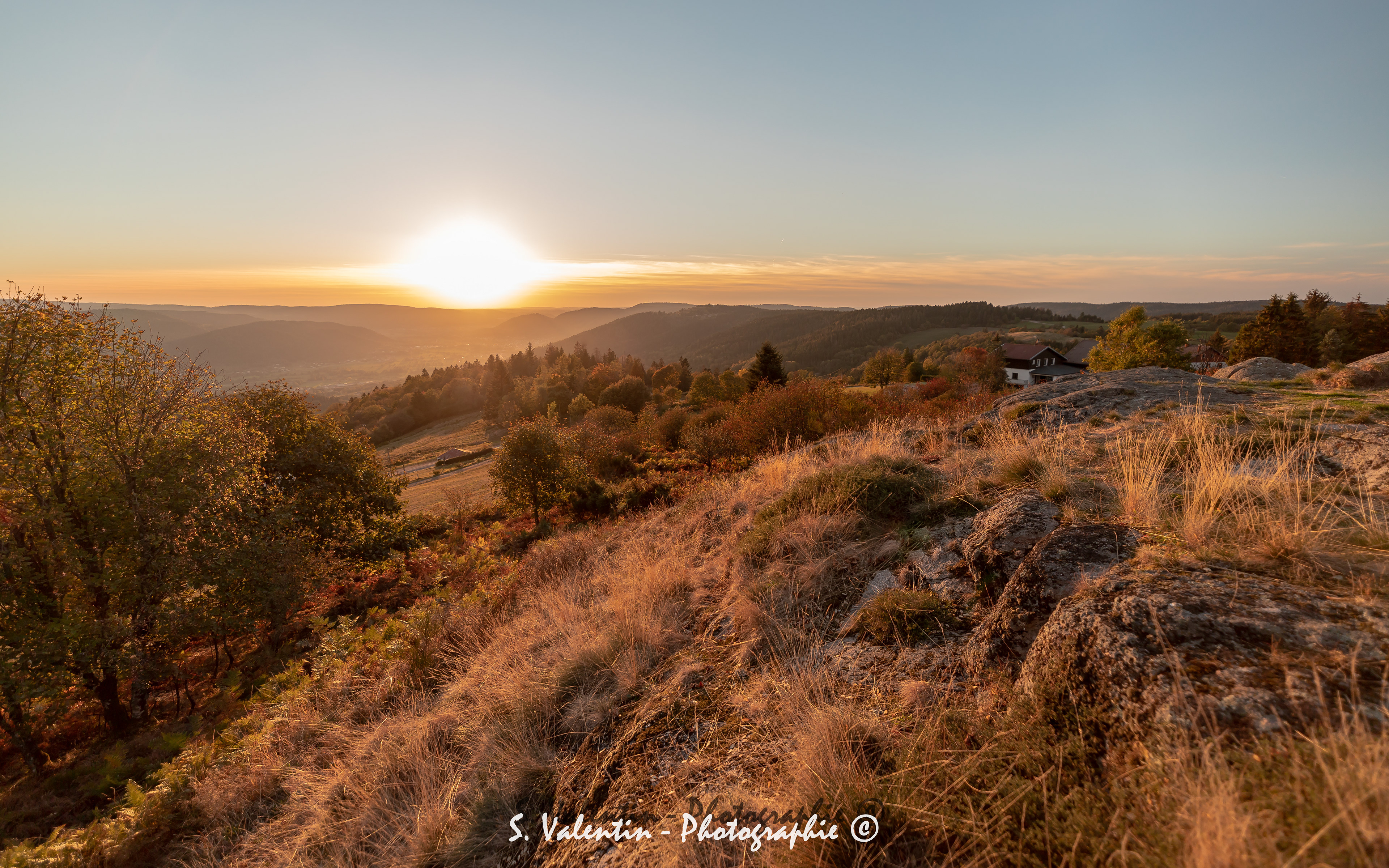 Haut du tôt - Les Vosges