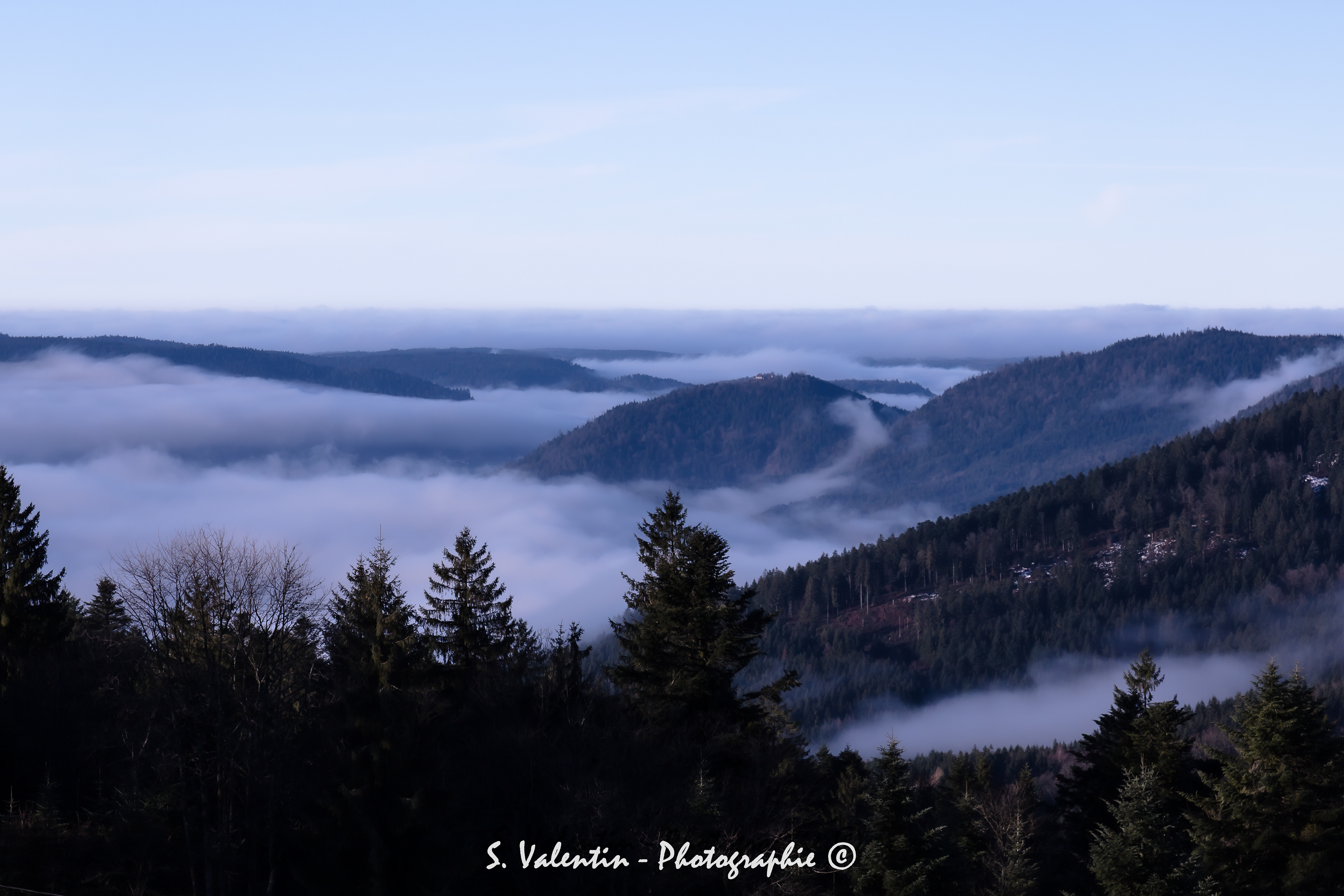 Haut du tôt - Les Vosges