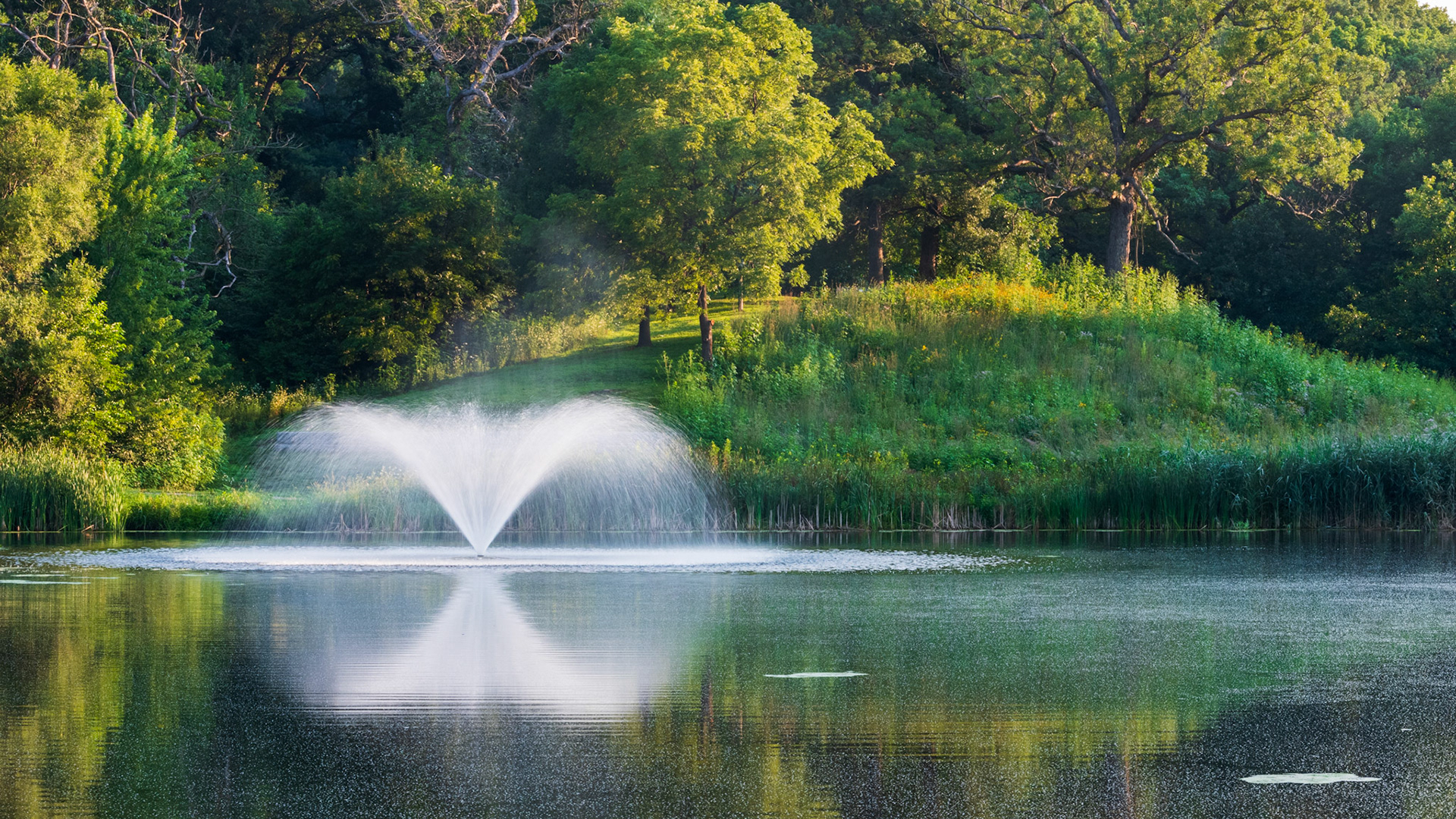 Morning at Greenwood Pond