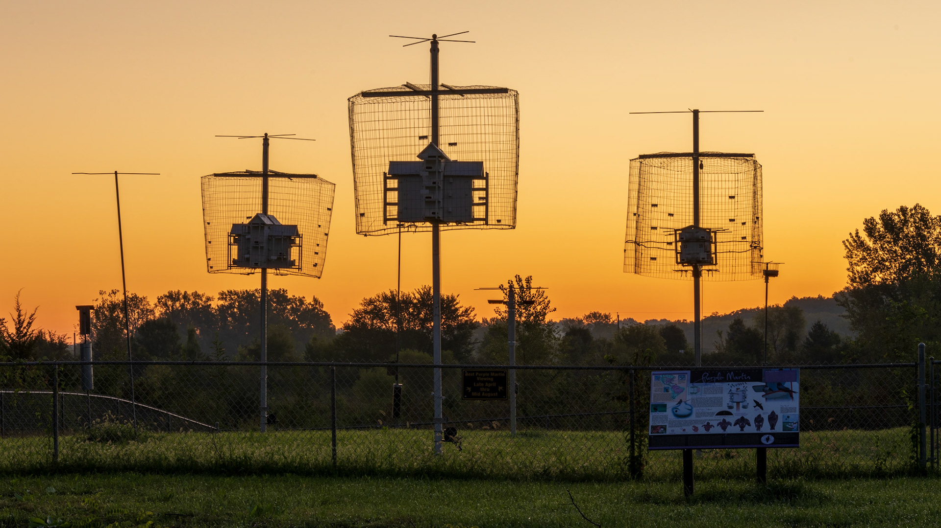 Purple Martin Houses at Purple Martin Lake