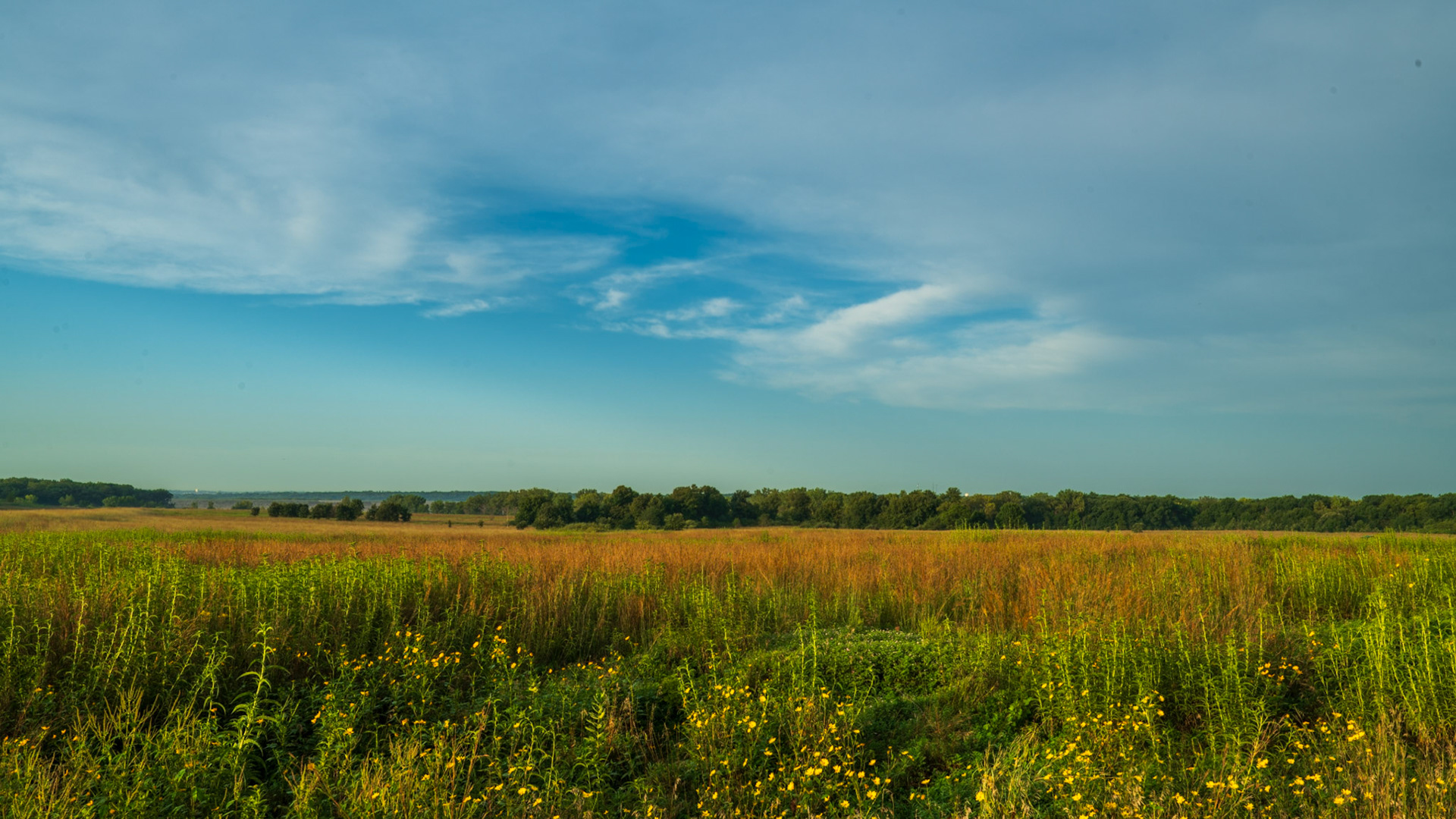 Red Feather Prairie