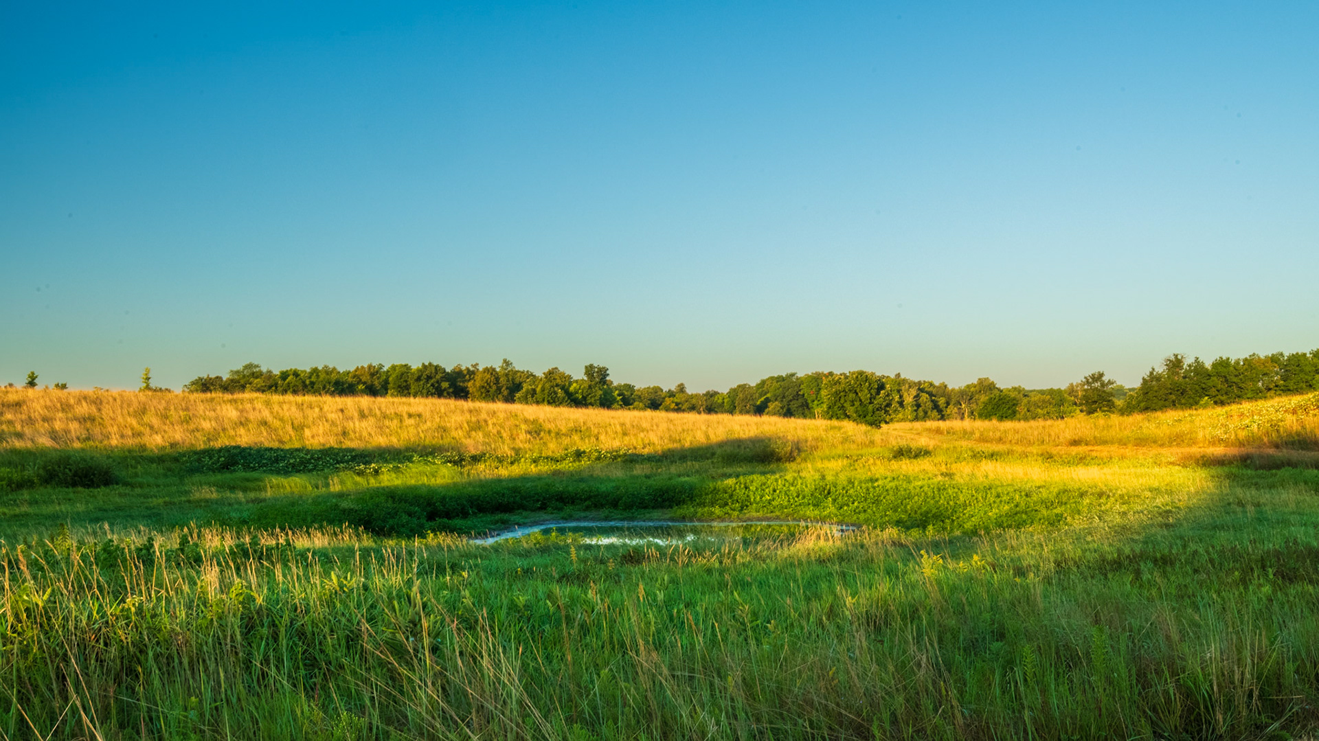 Prairie Pothole