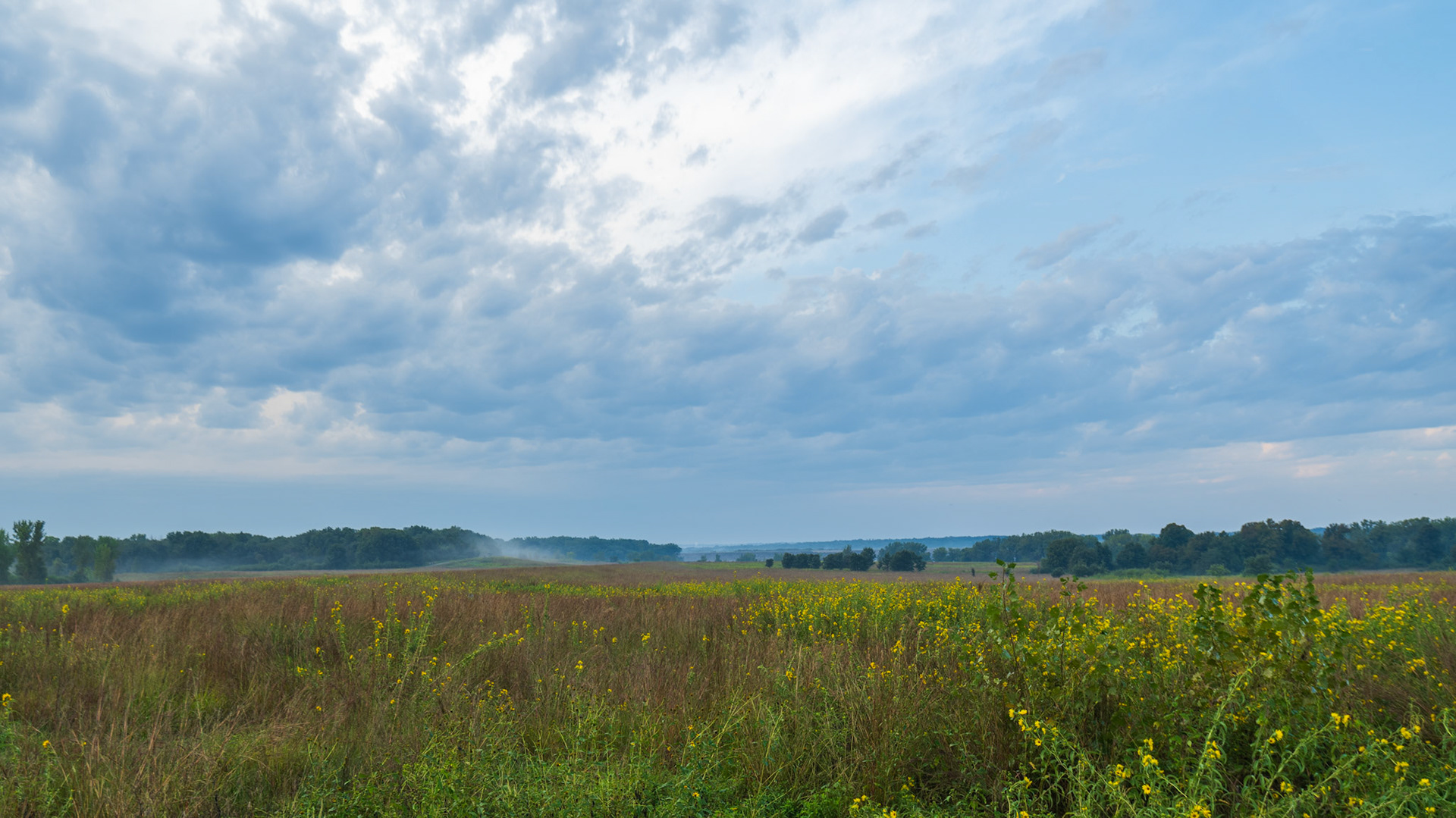 Red Feather Prairie