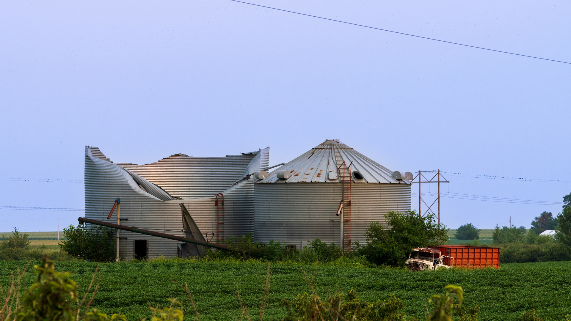 Wind Damage