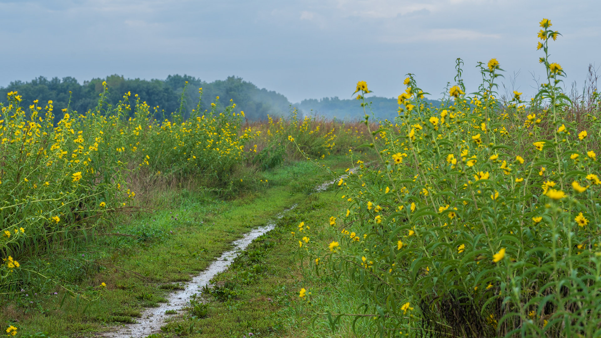Prairie Path