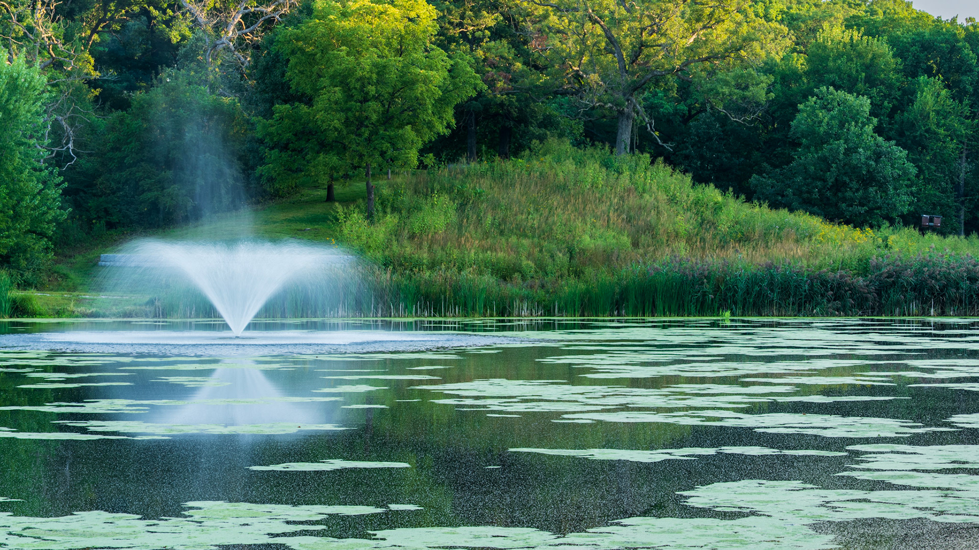 Greenwood Pond
