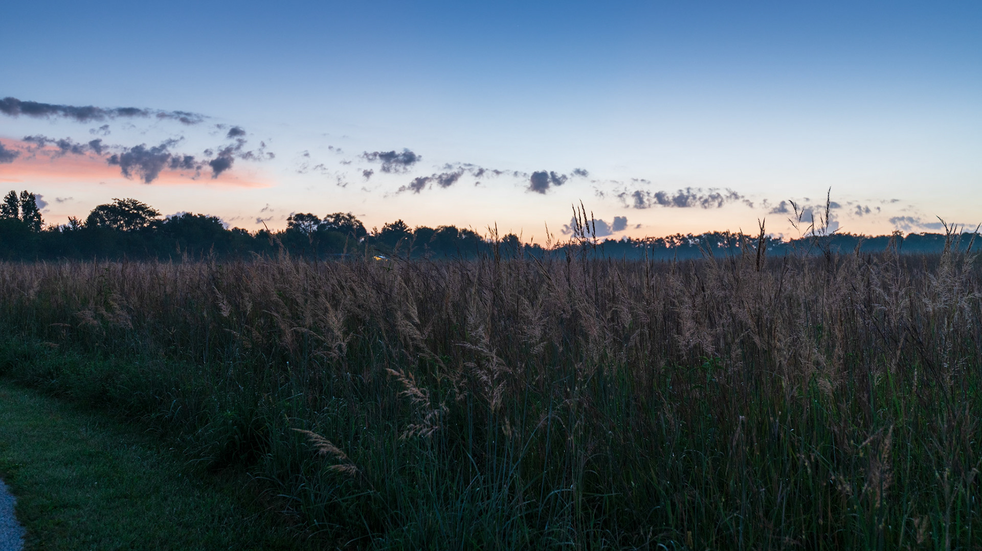 Dawn at Red Feather Prairie