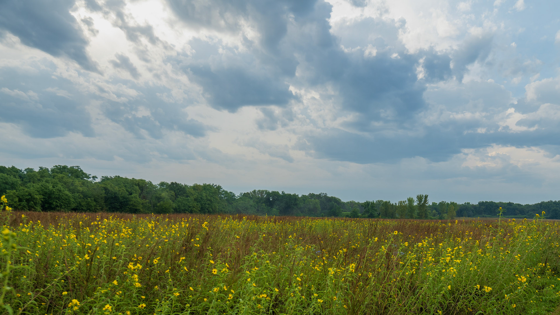 Red Feather Prairie