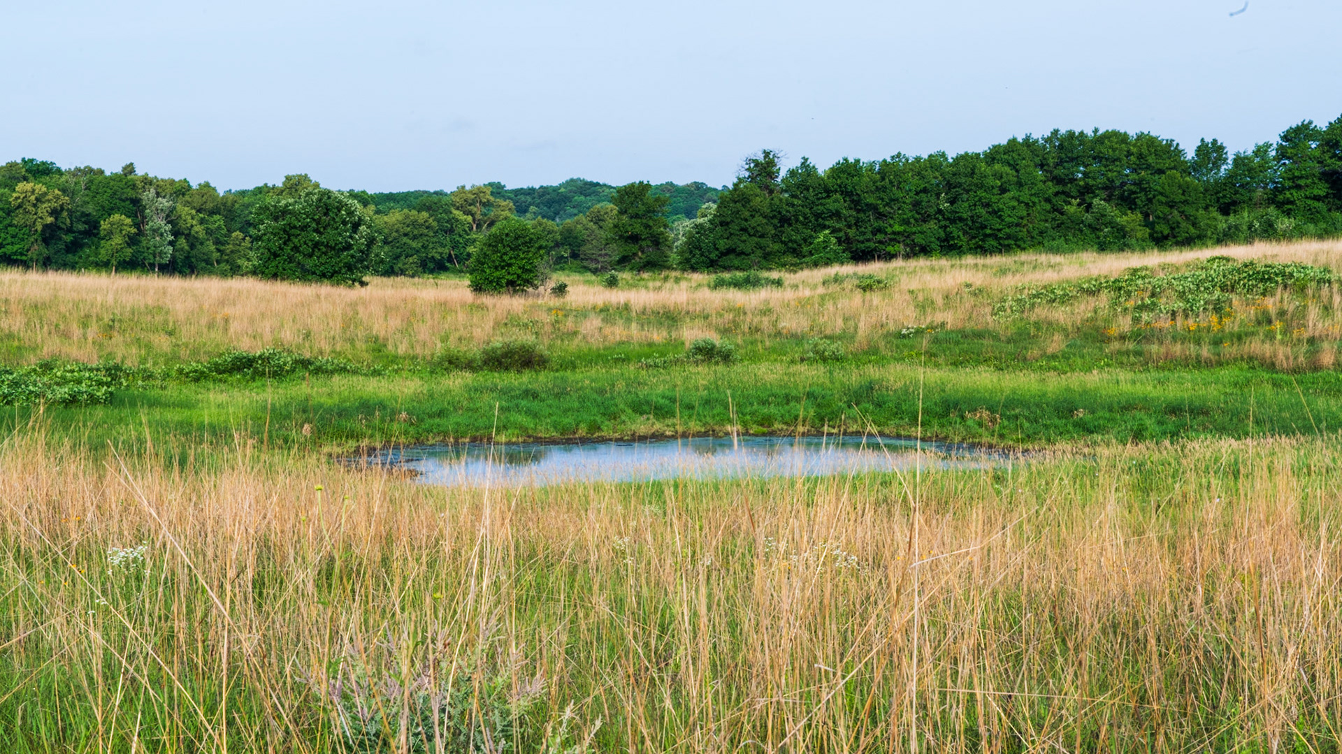 Prairie Pothole