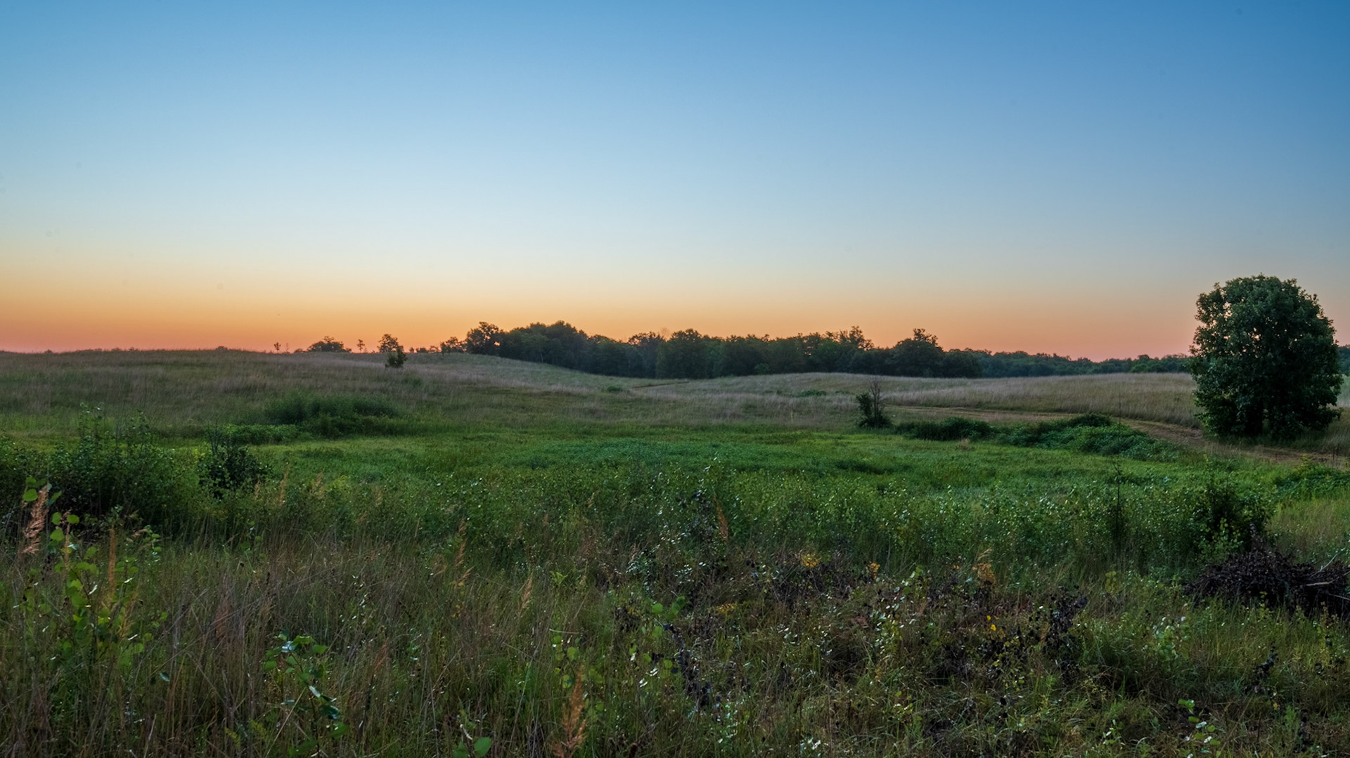 Prairie Pothole